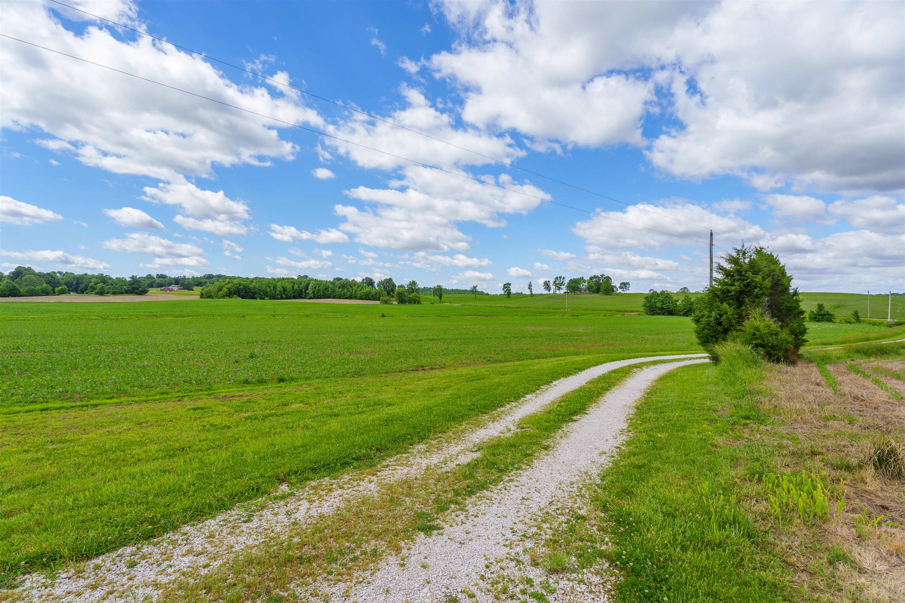 1939 Greenbriar Rd, Utica, Kentucky 42376, ,Farm,For Sale,Greenbriar Rd,93809