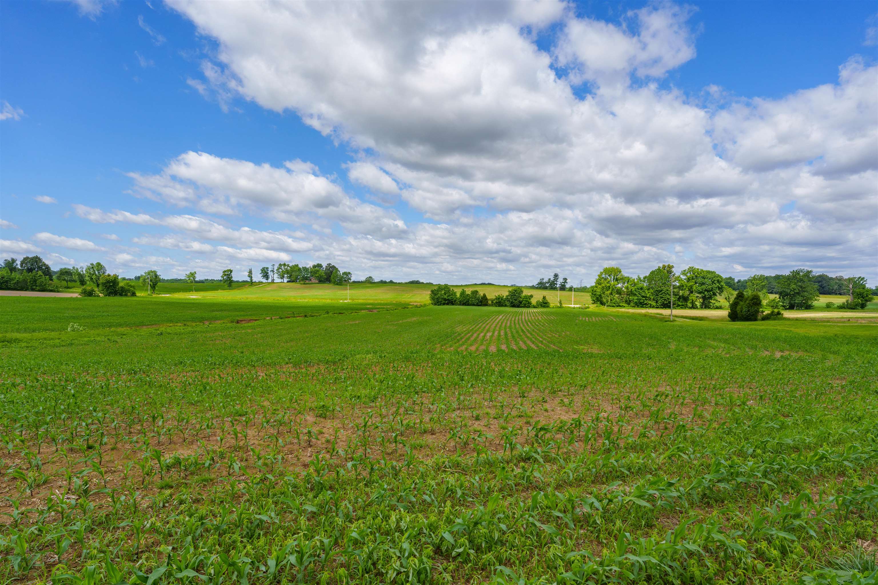 1939 Greenbriar Rd, Utica, Kentucky 42376, ,Farm,For Sale,Greenbriar Rd,93809