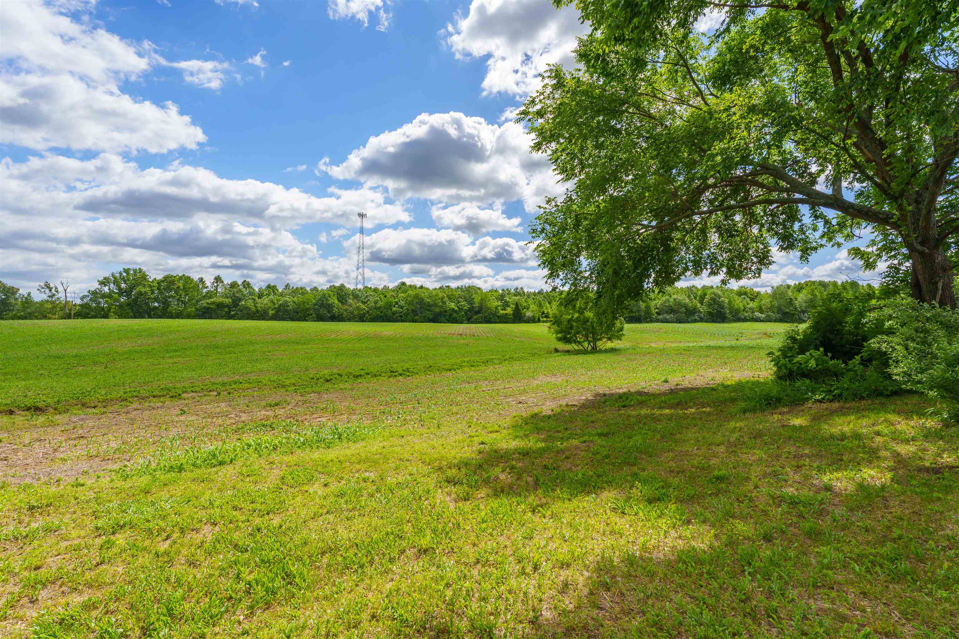 1939 Greenbriar Rd, Utica, Kentucky 42376, ,Farm,For Sale,Greenbriar Rd,93809