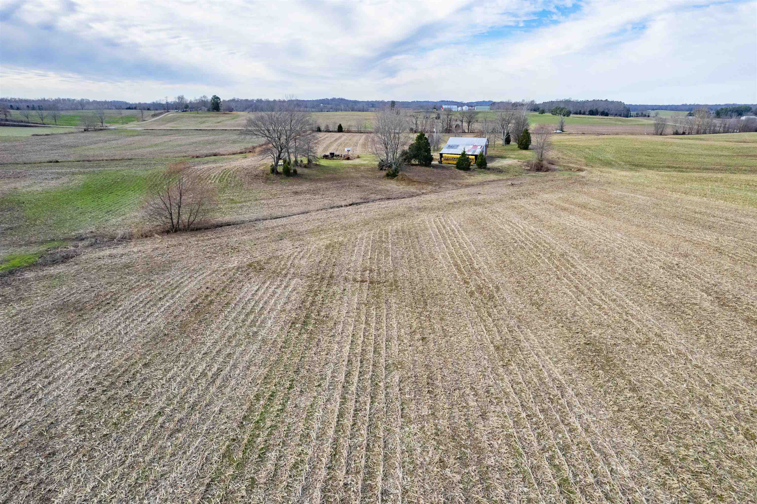 1939 Greenbriar Rd, Utica, Kentucky 42376, ,Farm,For Sale,Greenbriar Rd,93809