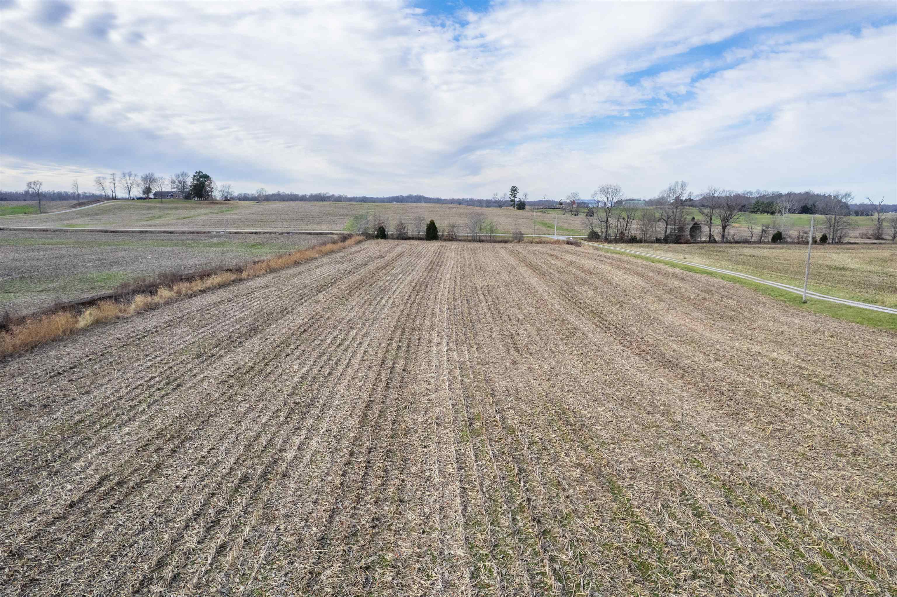 1939 Greenbriar Rd, Utica, Kentucky 42376, ,Farm,For Sale,Greenbriar Rd,93809