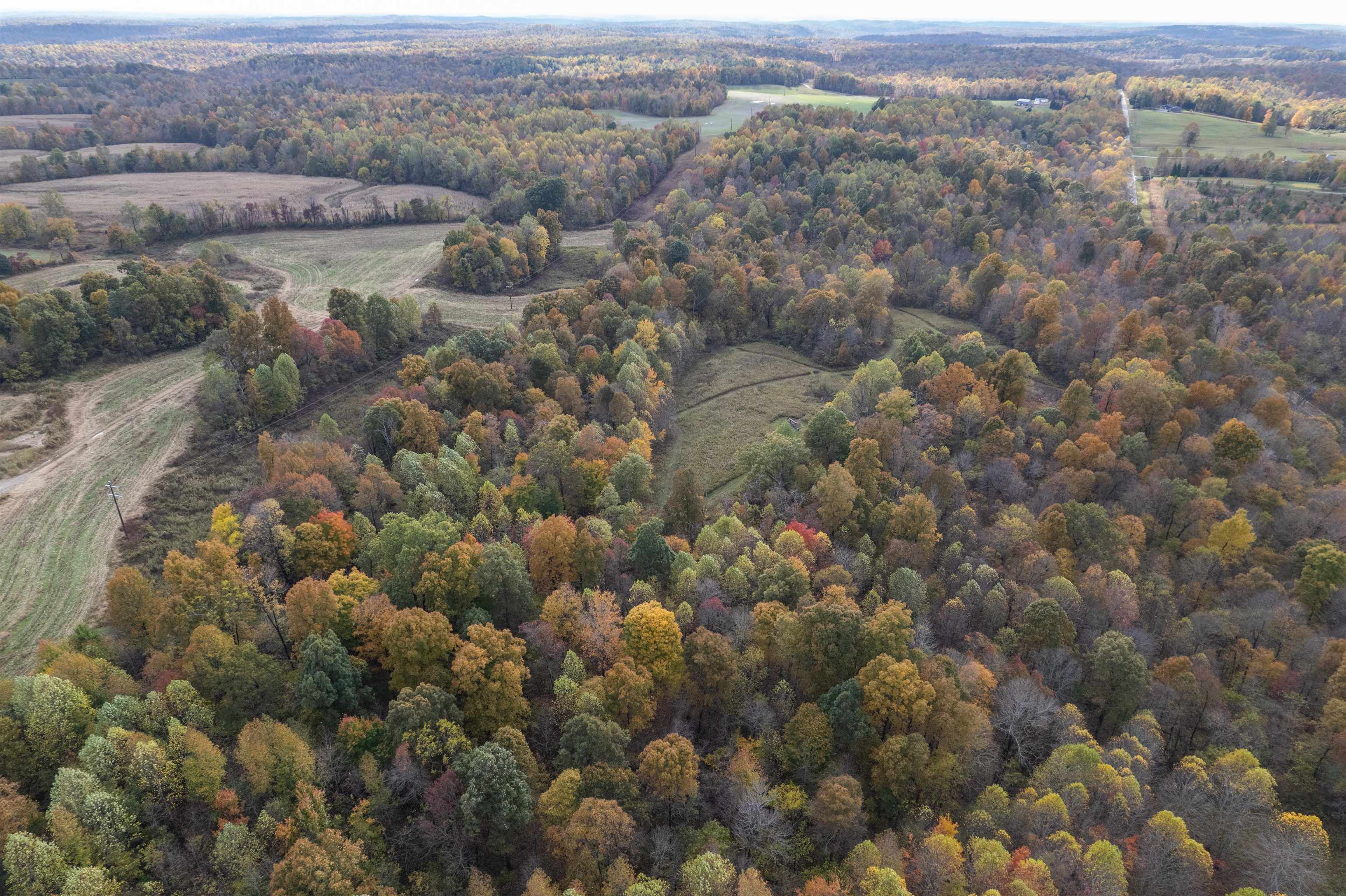 0 Morris Ln, Falls of Rough, Kentucky 40119, ,Land,For Sale,Morris Ln,93844