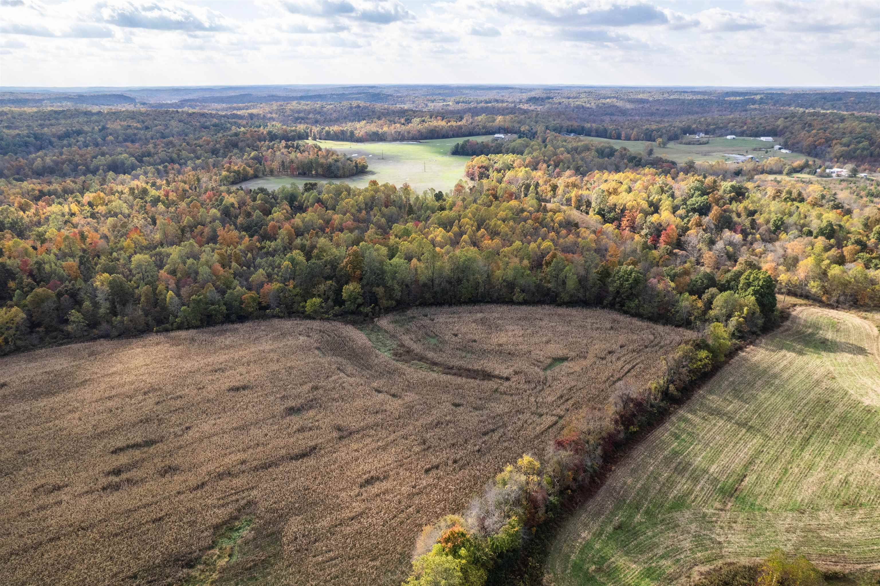 0 Morris Ln, Falls of Rough, Kentucky 40119, ,Land,For Sale,Morris Ln,93844