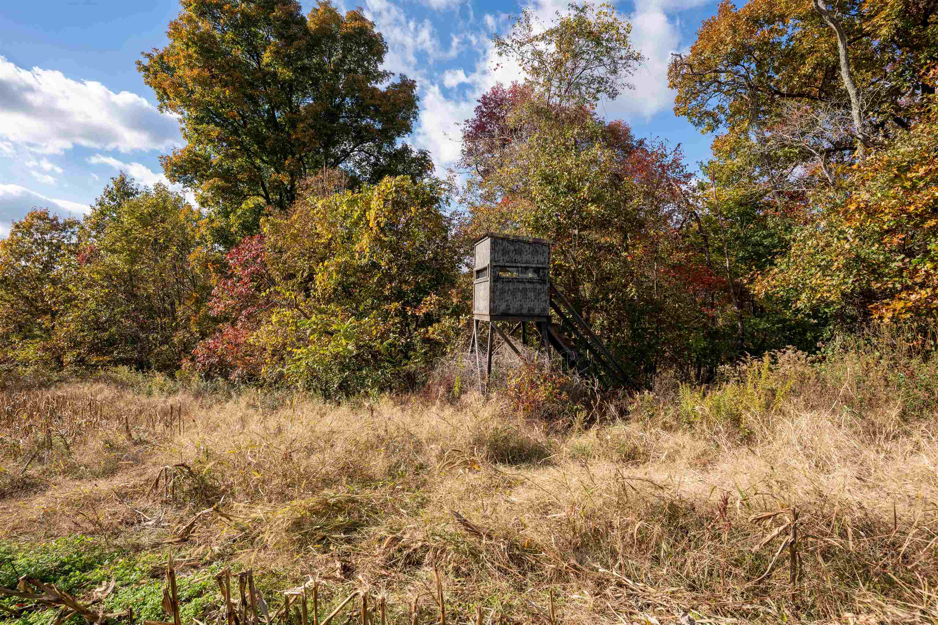 0 Morris Ln, Falls of Rough, Kentucky 40119, ,Land,For Sale,Morris Ln,93844