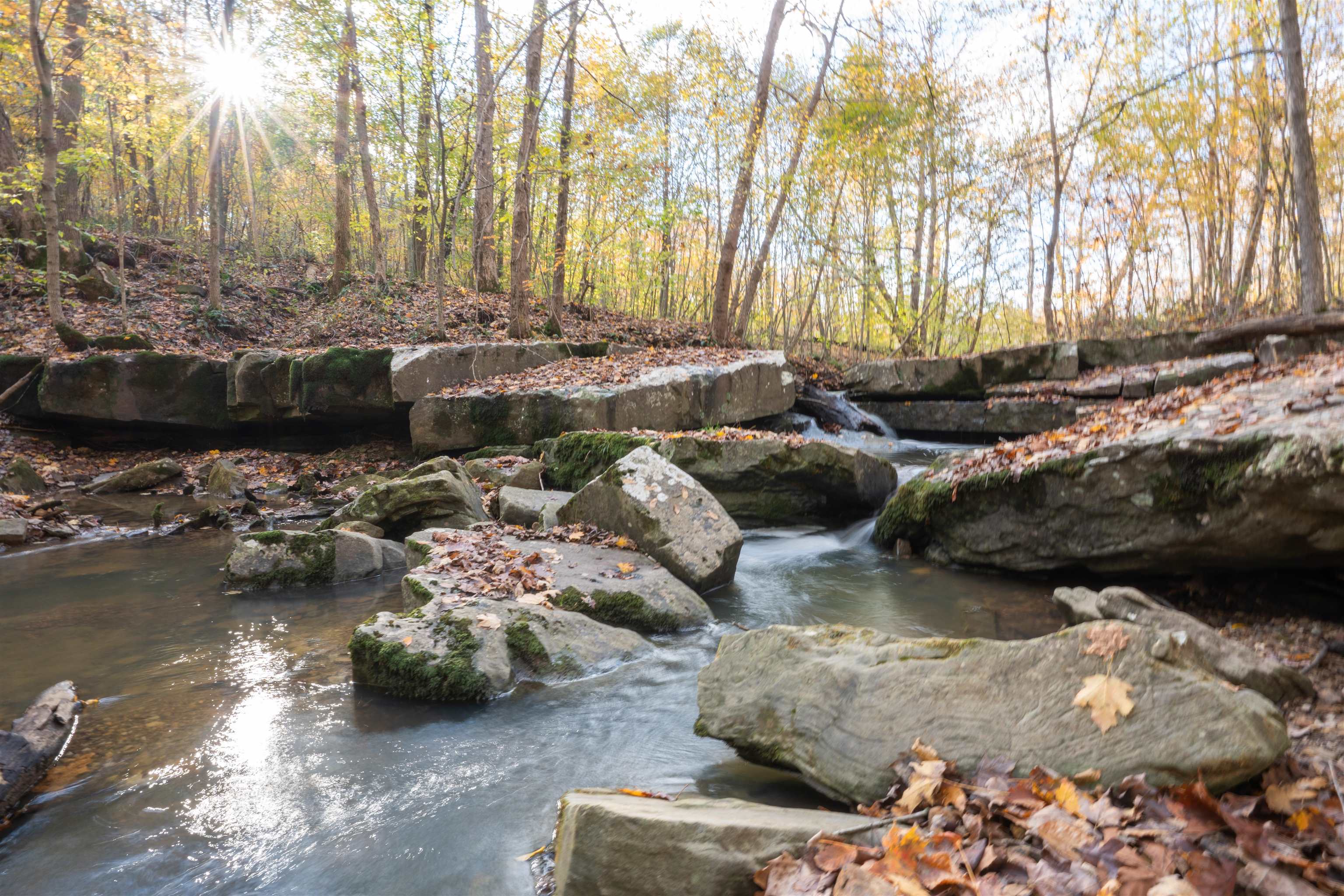 0 Morris Ln, Falls of Rough, Kentucky 40119, ,Land,For Sale,Morris Ln,93844
