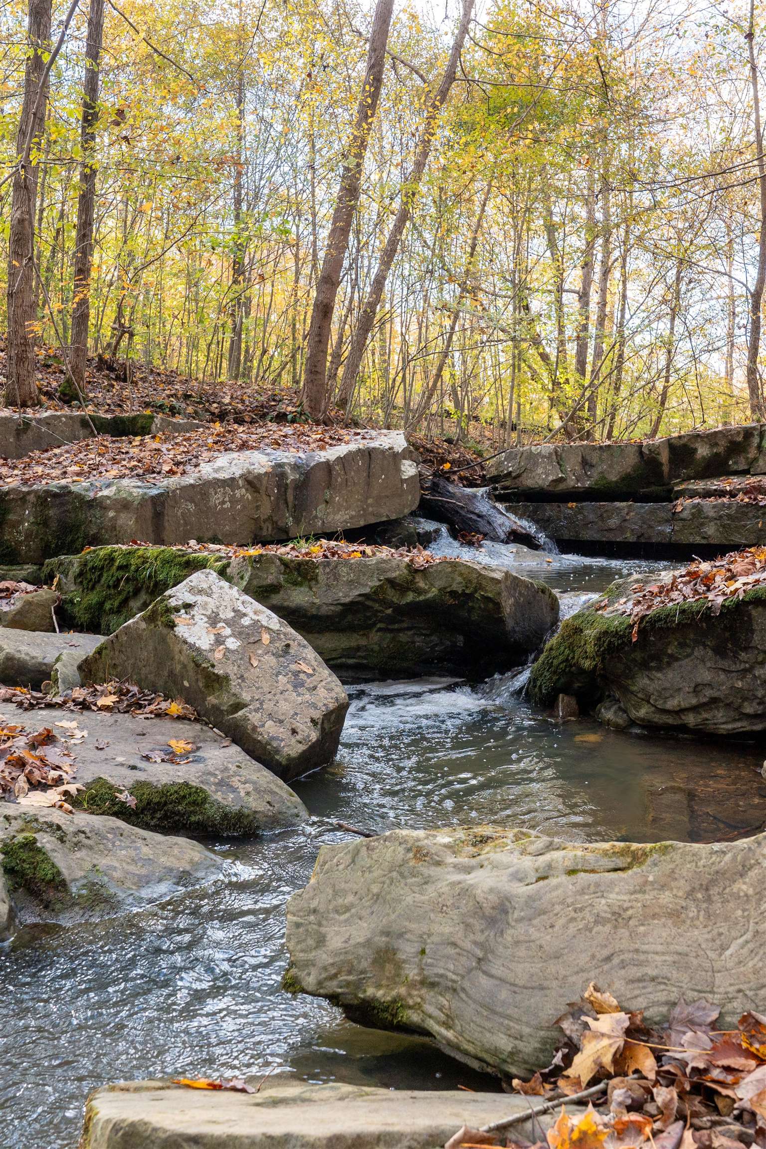 0 Morris Ln, Falls of Rough, Kentucky 40119, ,Land,For Sale,Morris Ln,93844