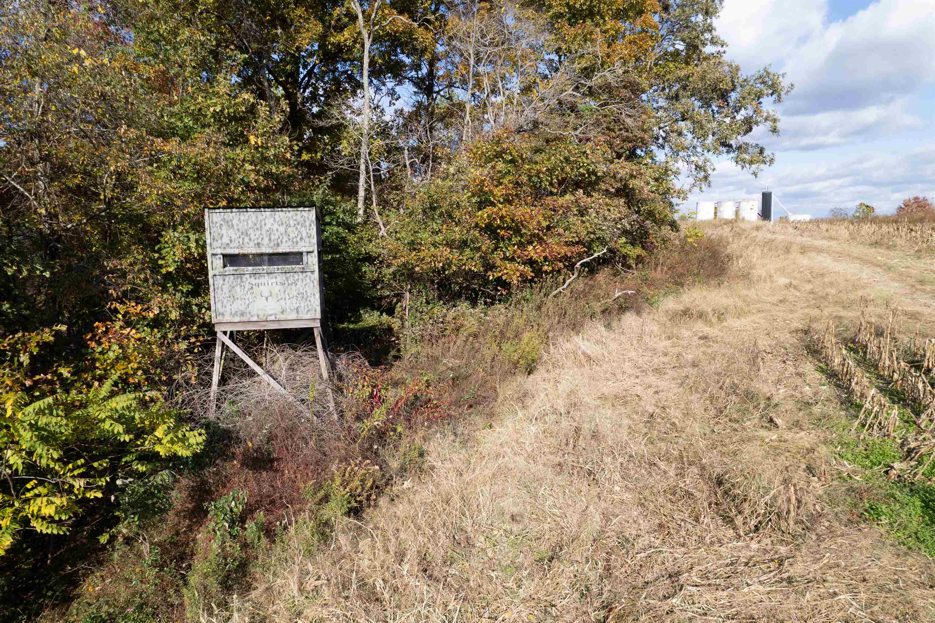 0 Morris Ln, Falls of Rough, Kentucky 40119, ,Land,For Sale,Morris Ln,93844