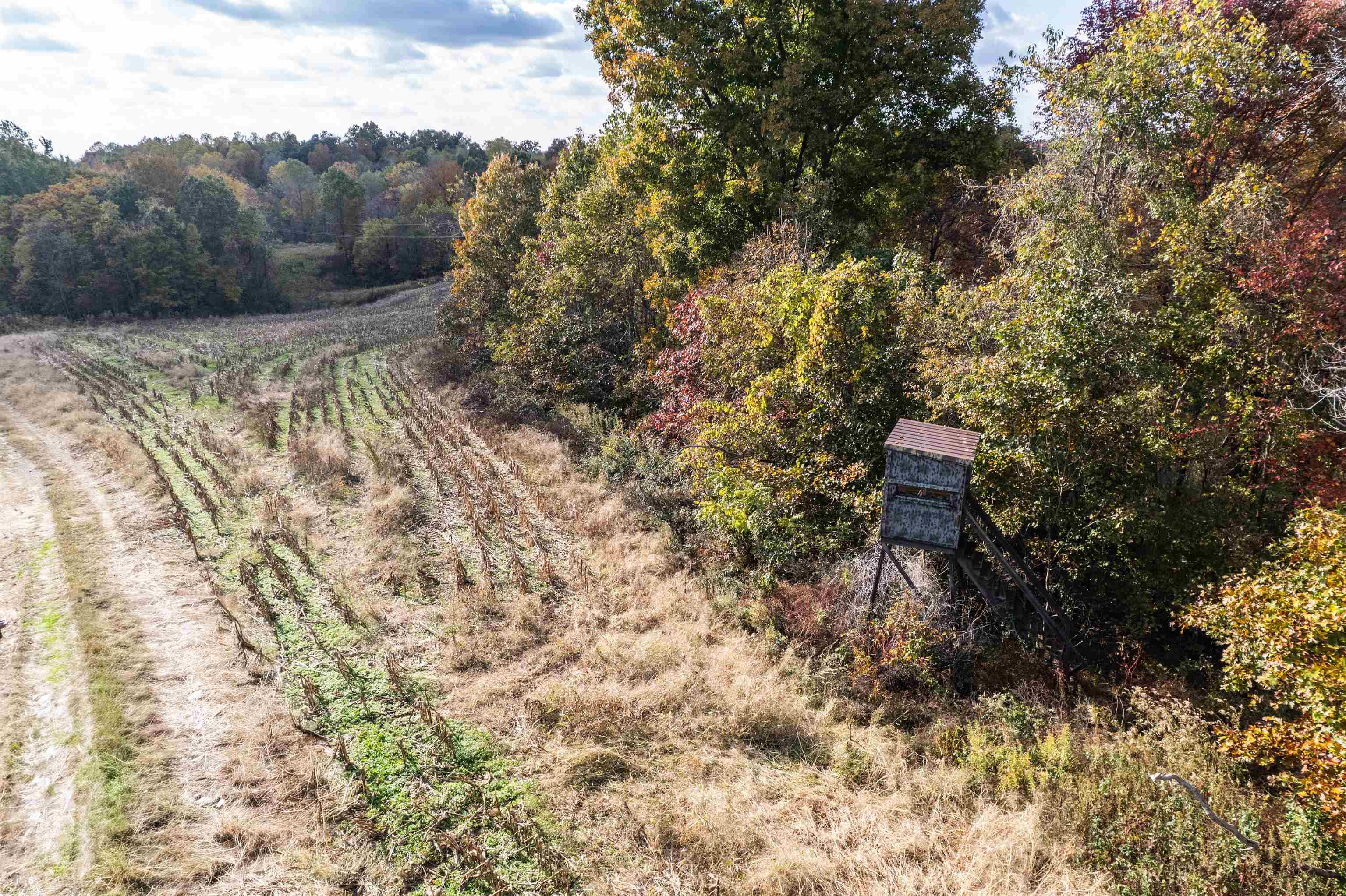 0 Morris Ln, Falls of Rough, Kentucky 40119, ,Land,For Sale,Morris Ln,93844