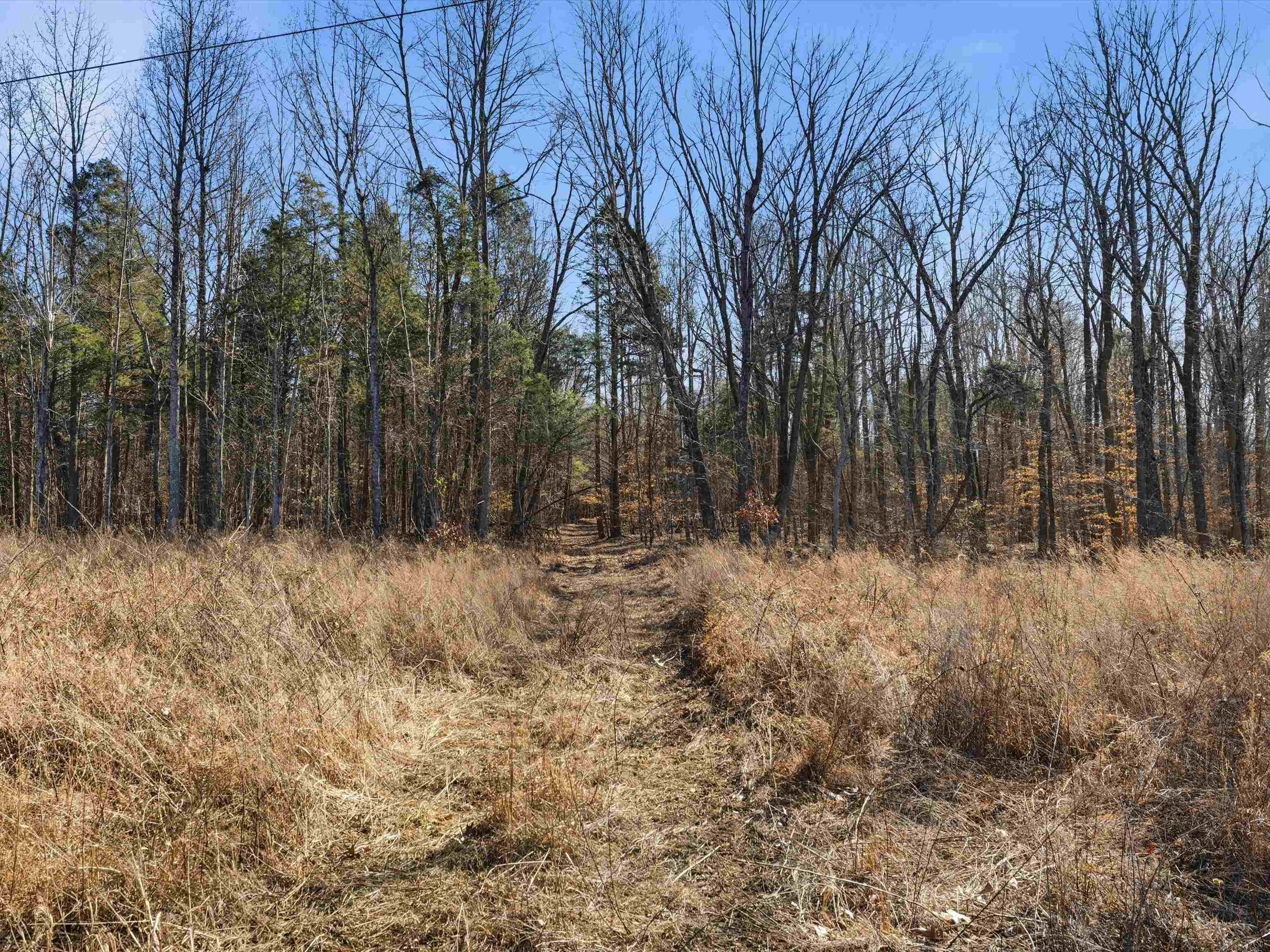 000 Pigeon Ridge Ln, Beaver Dam, Kentucky 42340, ,Land,For Sale,Pigeon Ridge Ln,93900