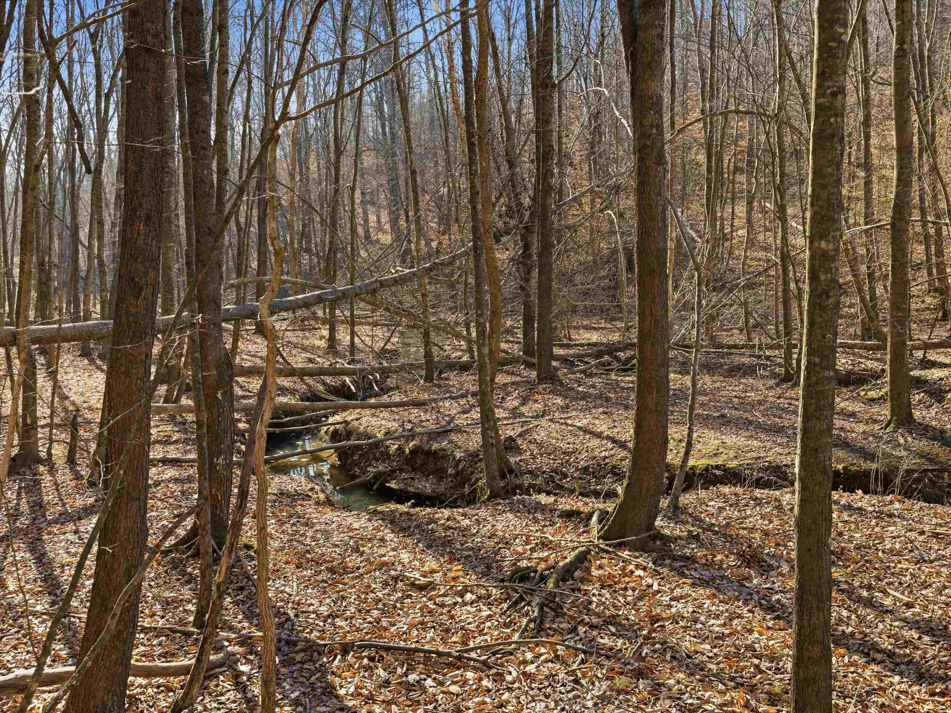 000 Pigeon Ridge Ln, Beaver Dam, Kentucky 42340, ,Land,For Sale,Pigeon Ridge Ln,93900