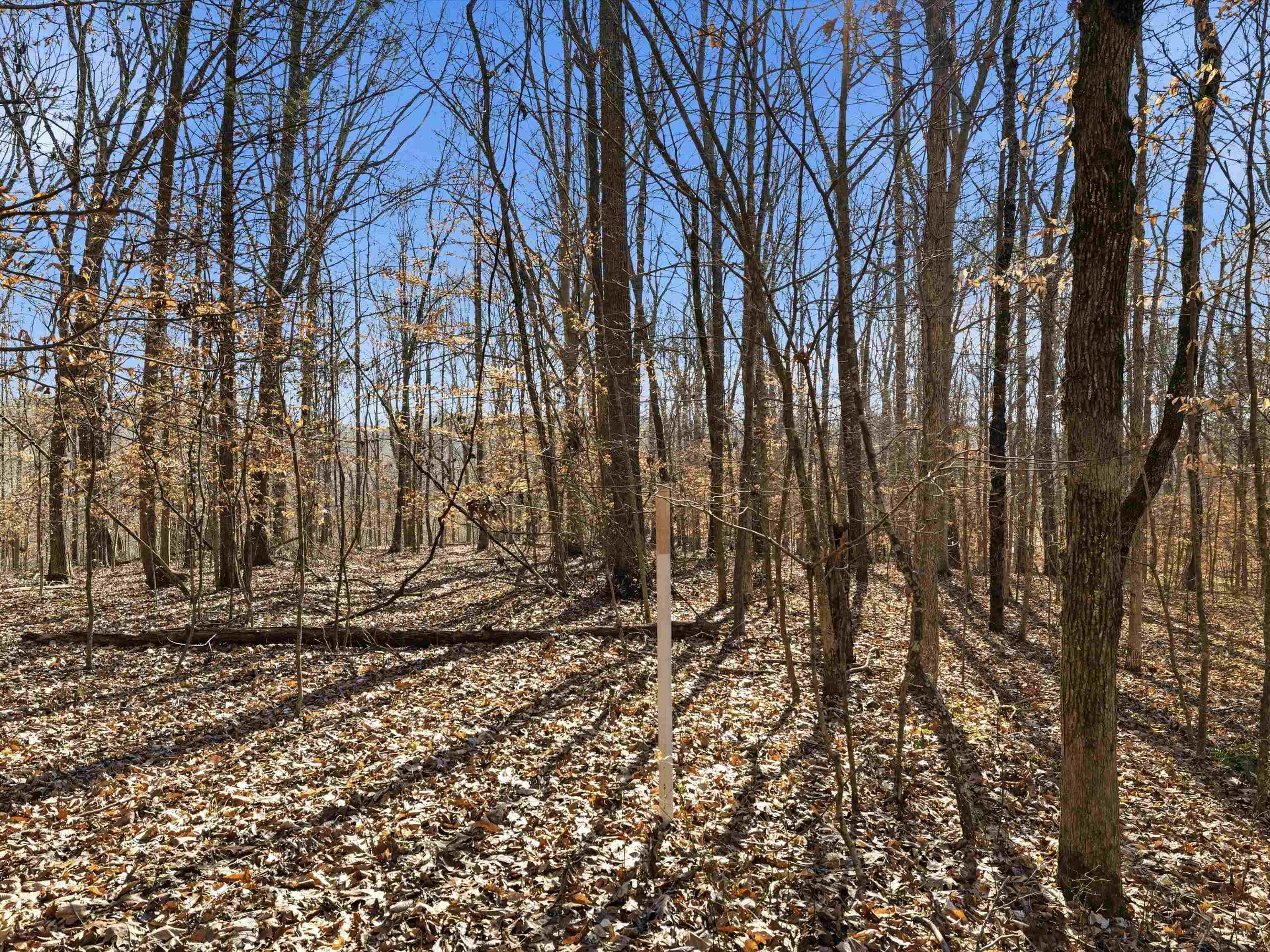 000 Pigeon Ridge Ln, Beaver Dam, Kentucky 42340, ,Land,For Sale,Pigeon Ridge Ln,93900
