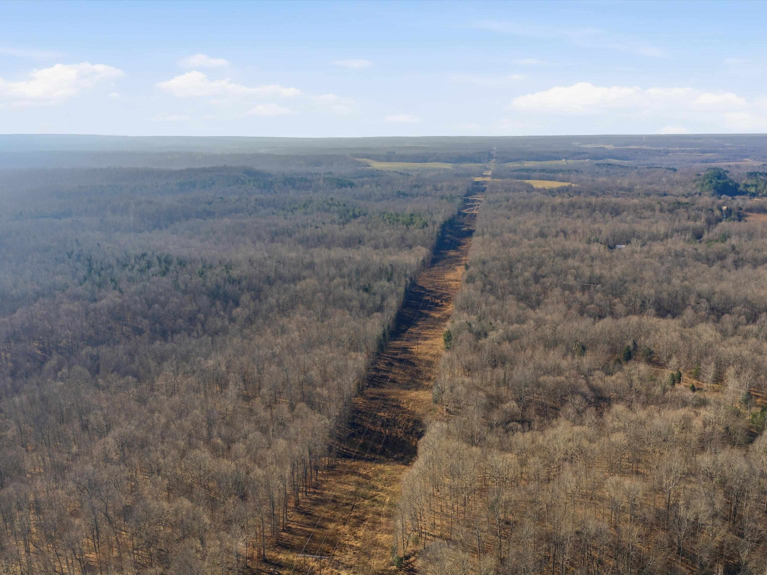 000 Pigeon Ridge Ln, Beaver Dam, Kentucky 42340, ,Land,For Sale,Pigeon Ridge Ln,93900