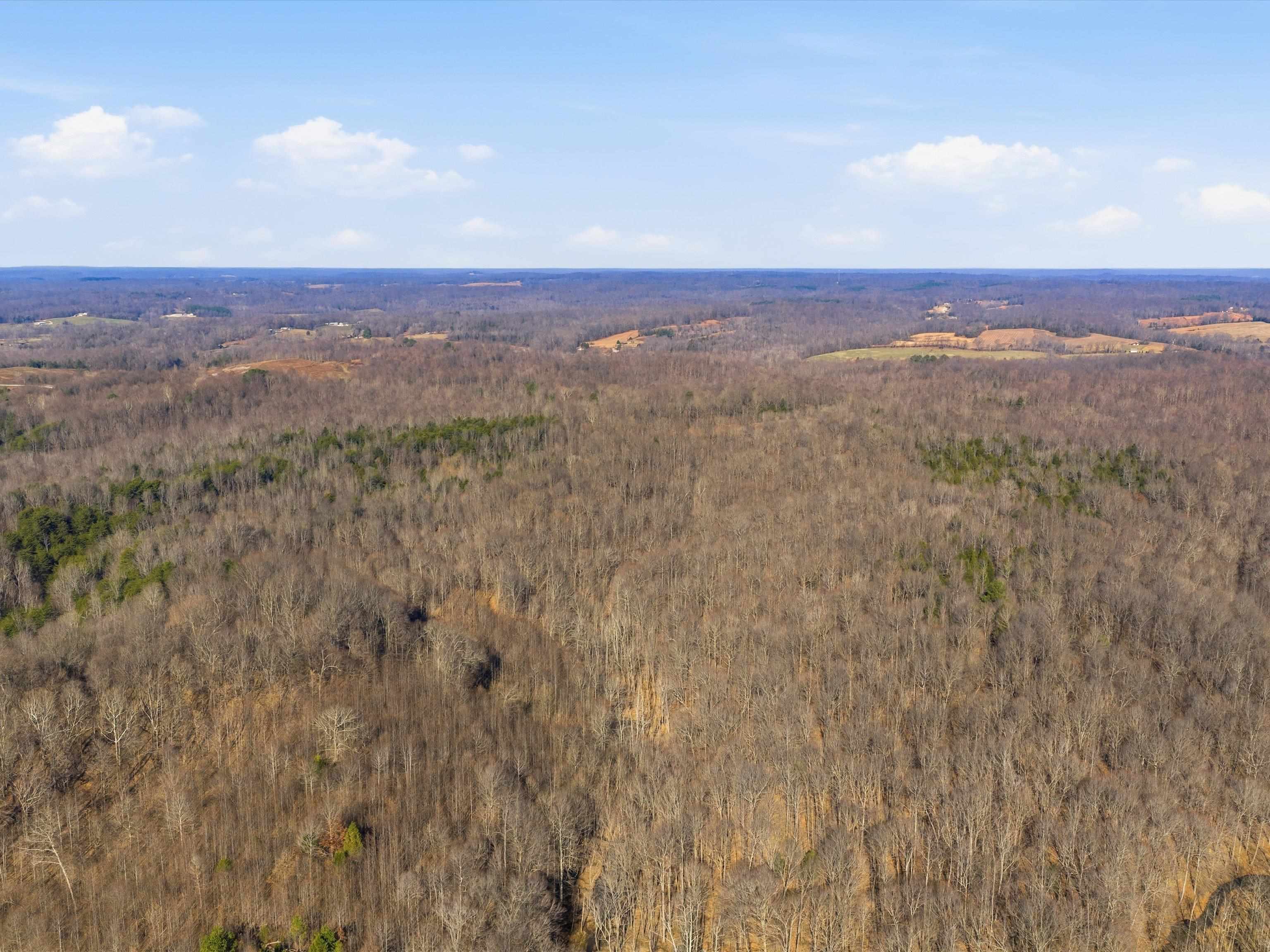 000 Pigeon Ridge Ln, Beaver Dam, Kentucky 42340, ,Land,For Sale,Pigeon Ridge Ln,93900