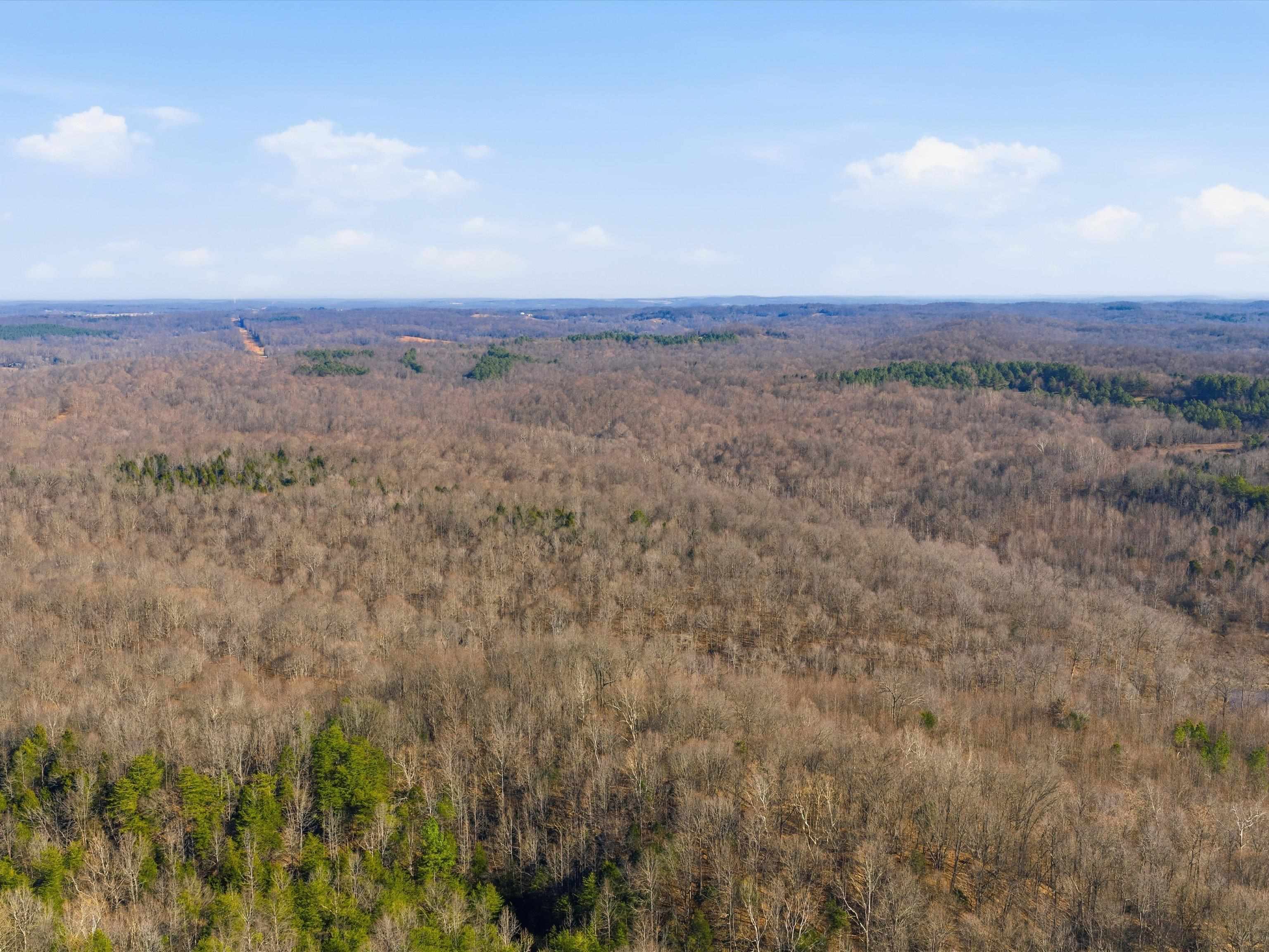 000 Pigeon Ridge Ln, Beaver Dam, Kentucky 42340, ,Land,For Sale,Pigeon Ridge Ln,93900