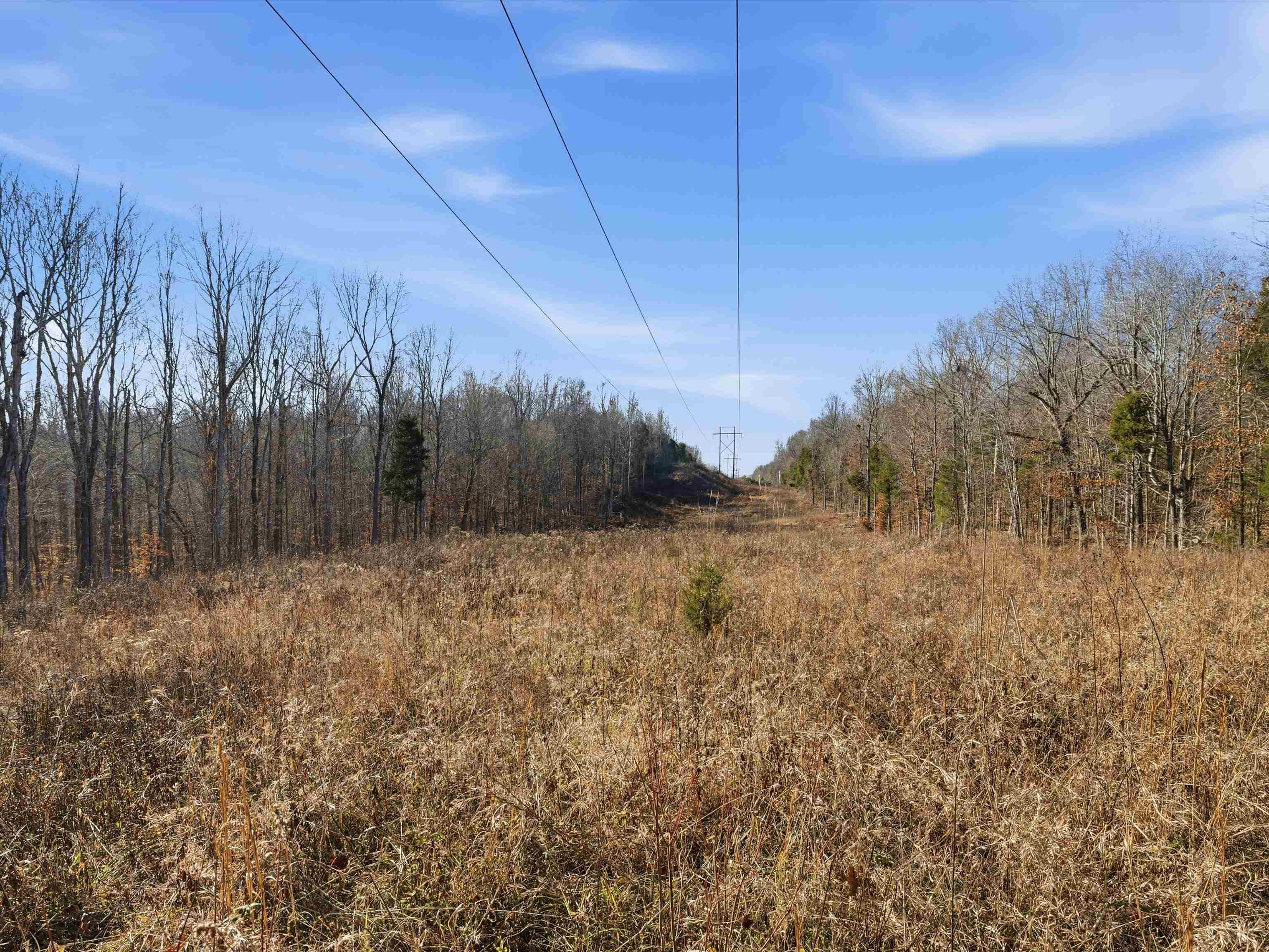 000 Pigeon Ridge Ln, Beaver Dam, Kentucky 42340, ,Land,For Sale,Pigeon Ridge Ln,93900