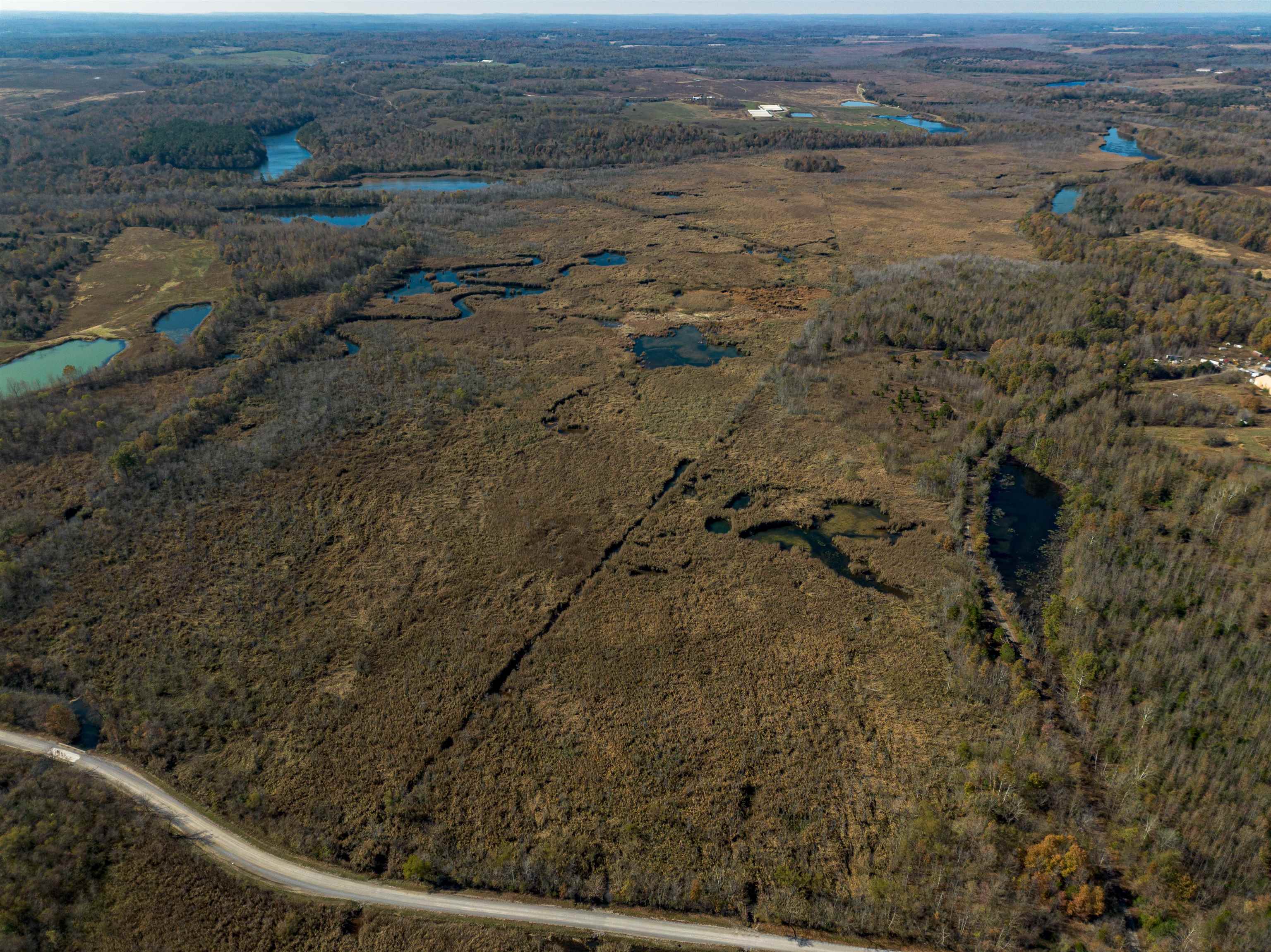 00000 Richland-Manitou Road, Madisonville, Kentucky 42431, ,Land,For Sale,Richland-Manitou Road,93907