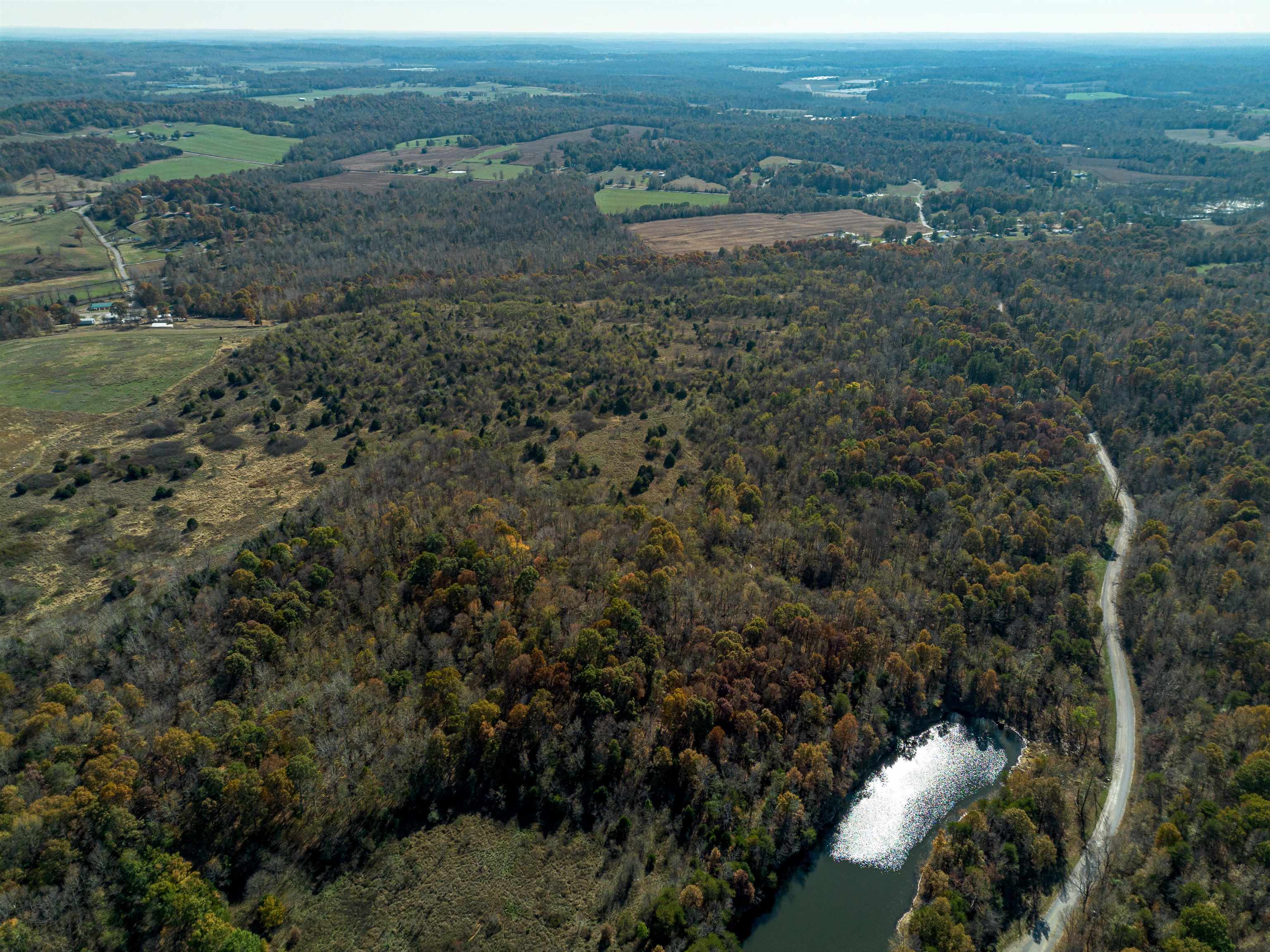 00000 Richland-Manitou Road, Madisonville, Kentucky 42431, ,Land,For Sale,Richland-Manitou Road,93909