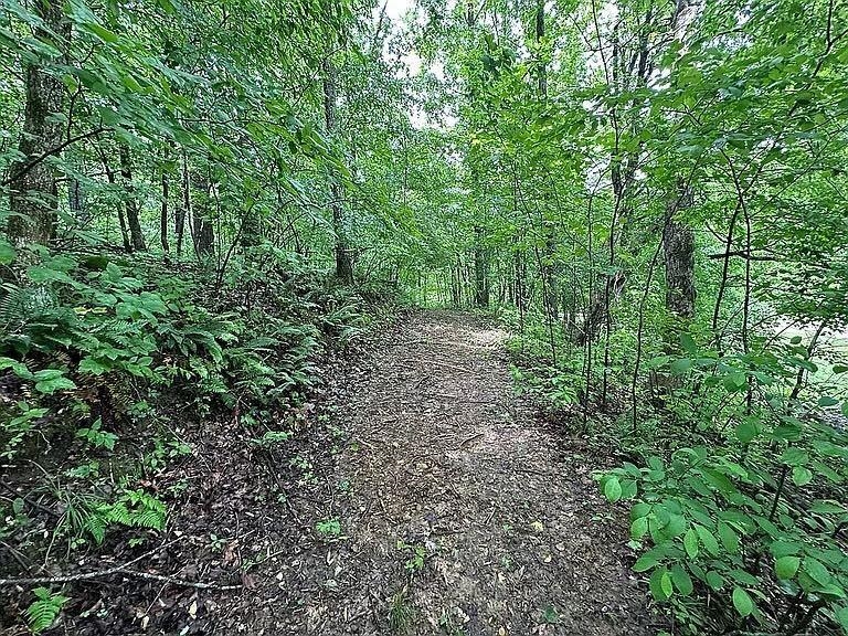 150 Cottonwood Dr, Leitchfield, Kentucky 42754, 3 Bedrooms Bedrooms, ,2 BathroomsBathrooms,Single Family Residence,For Sale,Cottonwood Dr,93939