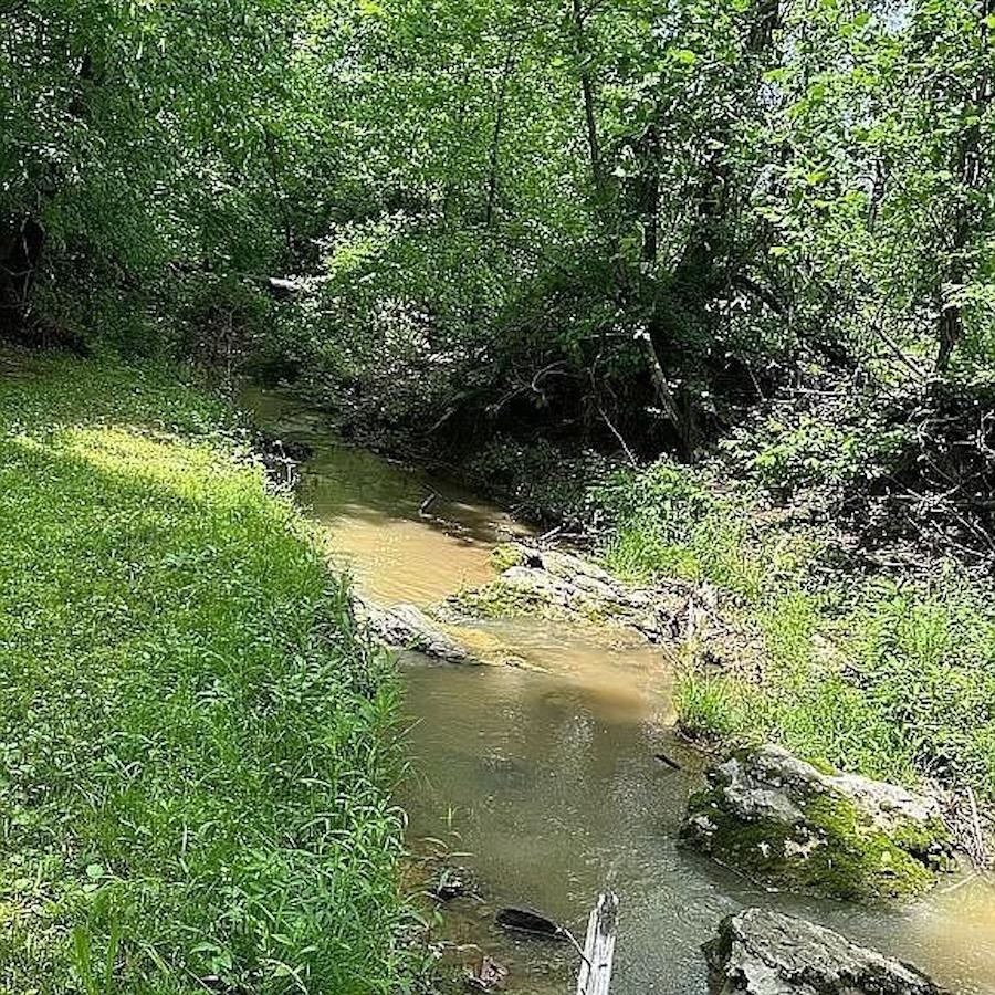 150 Cottonwood Dr, Leitchfield, Kentucky 42754, 3 Bedrooms Bedrooms, ,2 BathroomsBathrooms,Single Family Residence,For Sale,Cottonwood Dr,93939