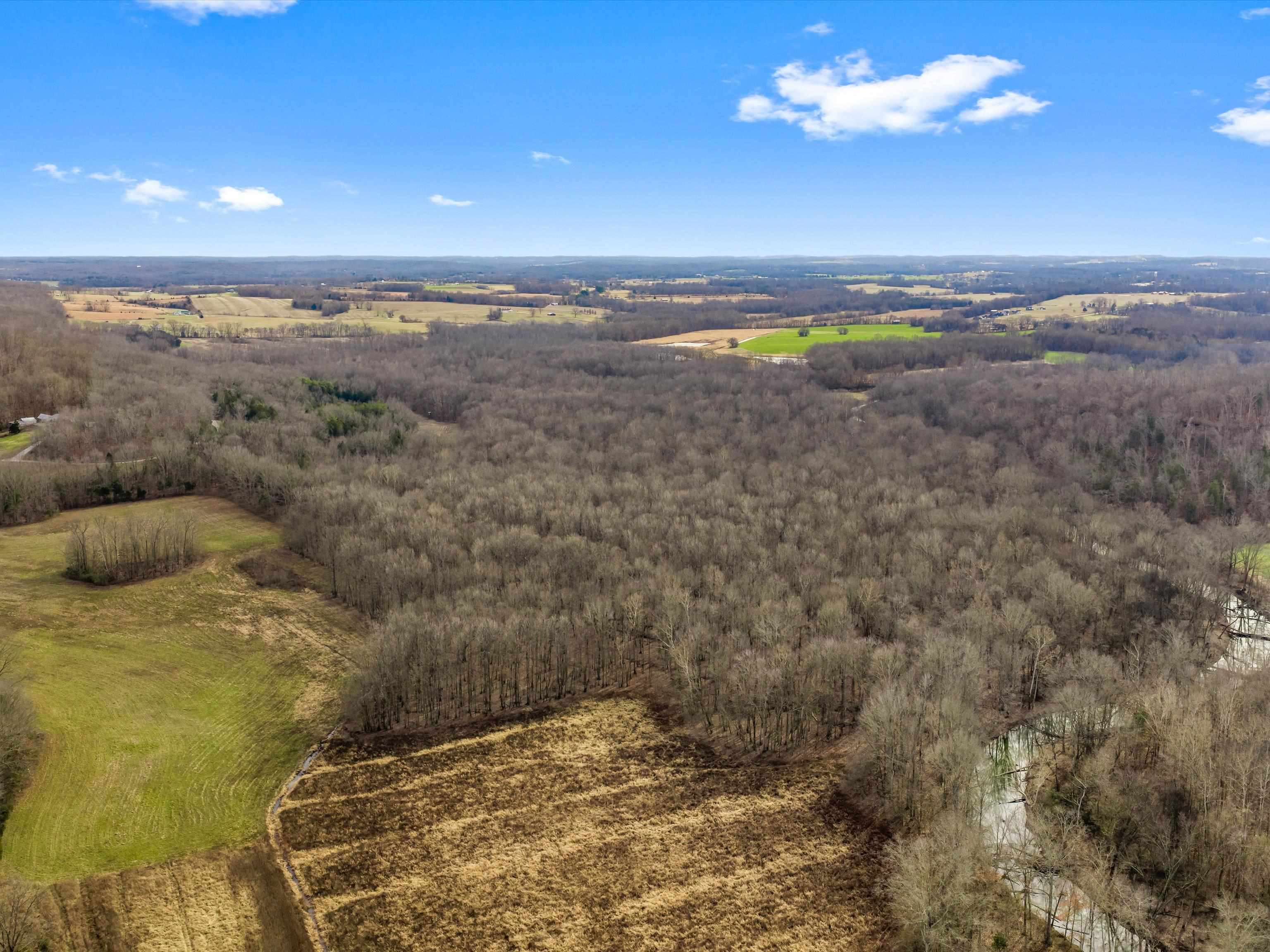 000 Iron Mountain Rd, Lewisburg, Kentucky 42256, ,Land,For Sale,Iron Mountain Rd,93957