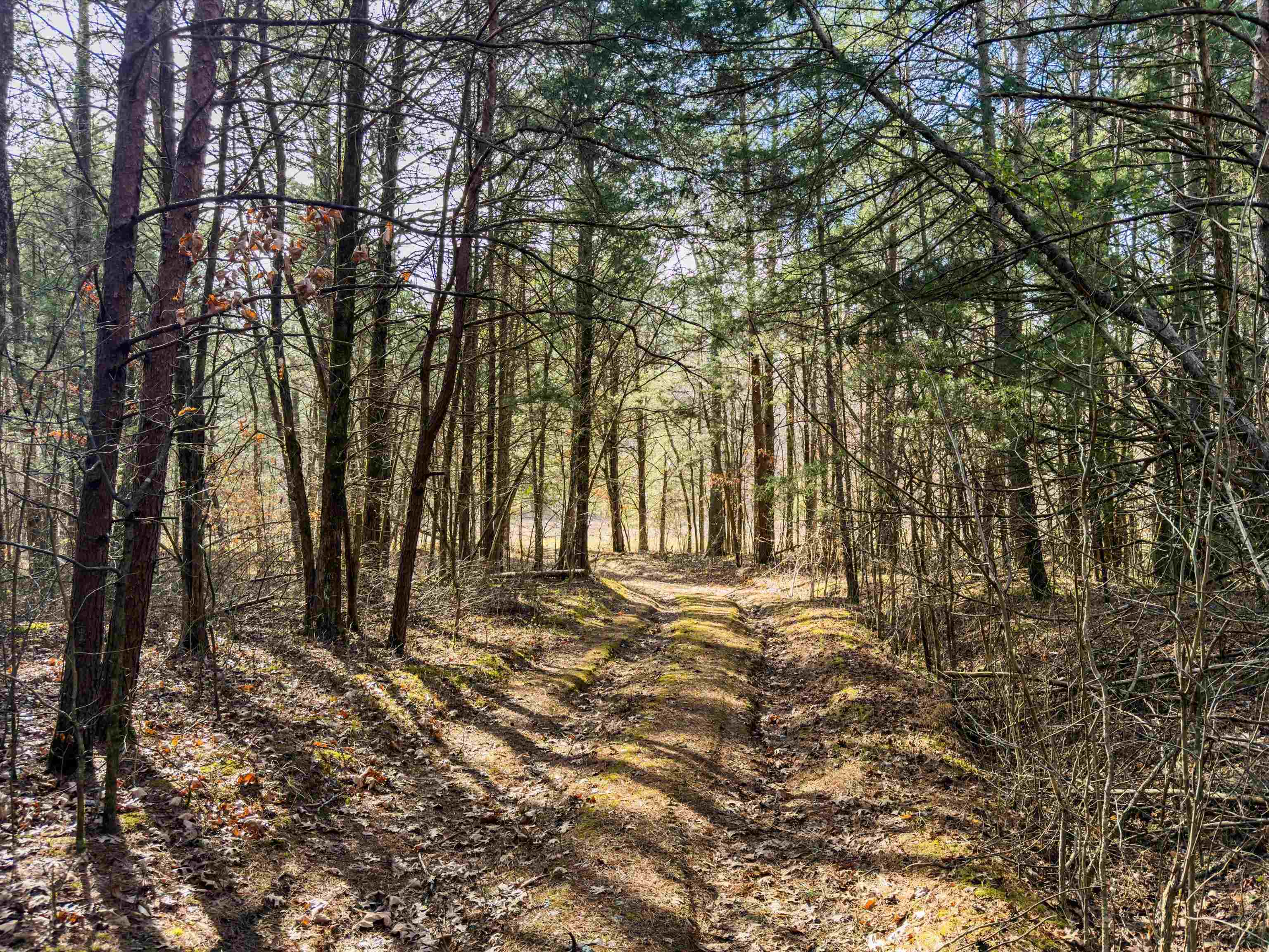 000 Iron Mountain Rd, Lewisburg, Kentucky 42256, ,Land,For Sale,Iron Mountain Rd,93957