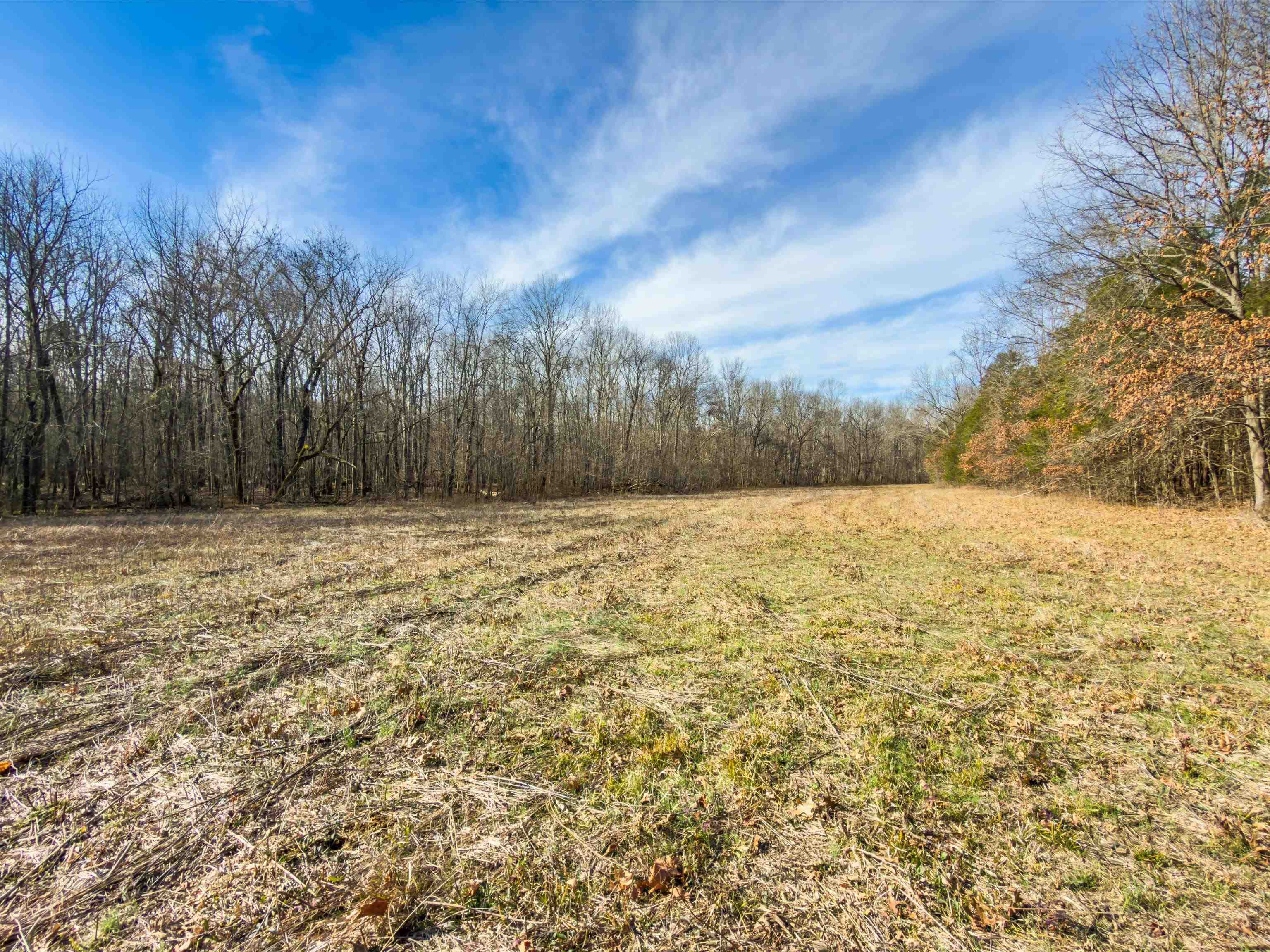 000 Iron Mountain Rd, Lewisburg, Kentucky 42256, ,Land,For Sale,Iron Mountain Rd,93957