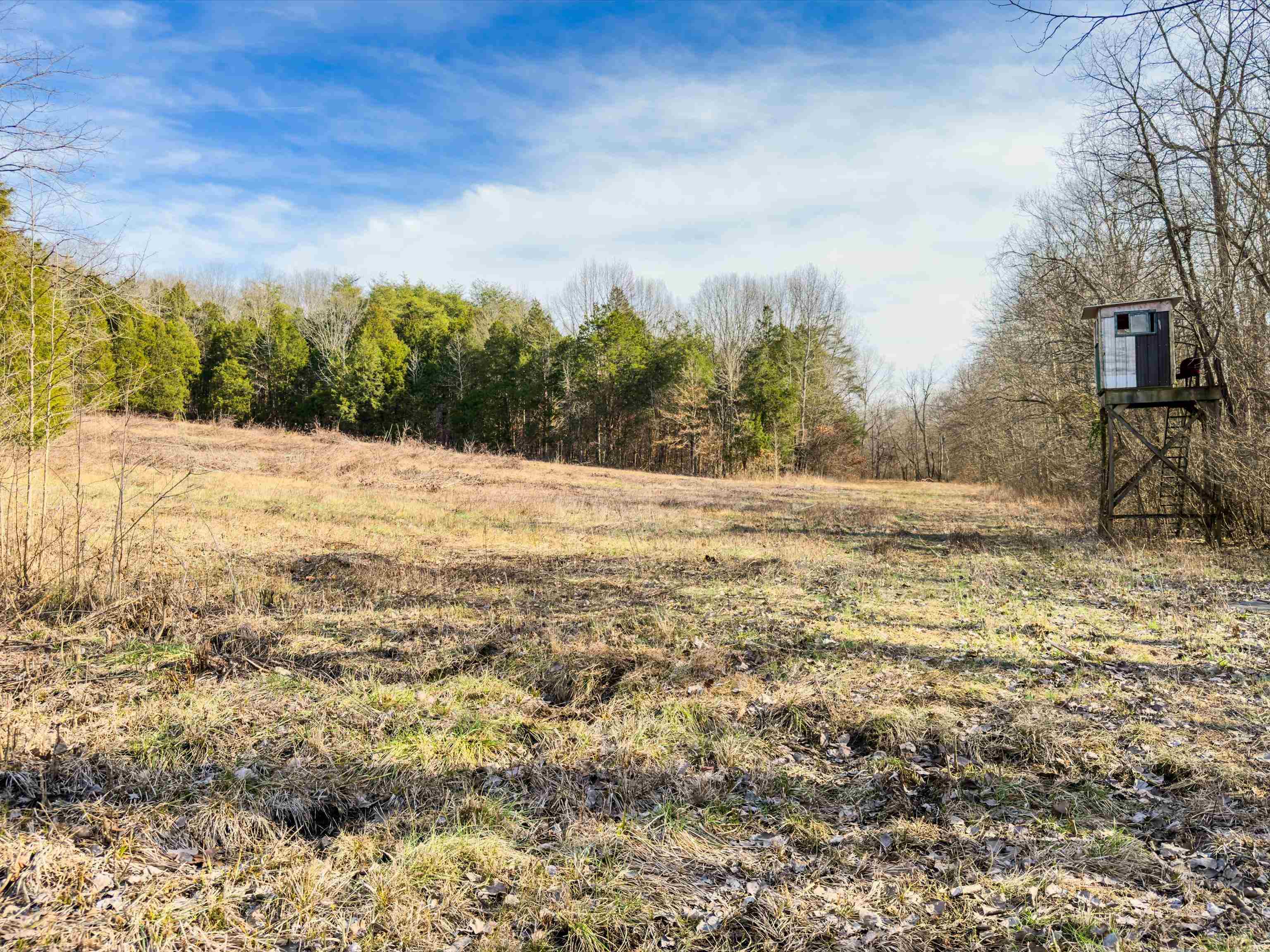 000 Iron Mountain Rd, Lewisburg, Kentucky 42256, ,Land,For Sale,Iron Mountain Rd,93957