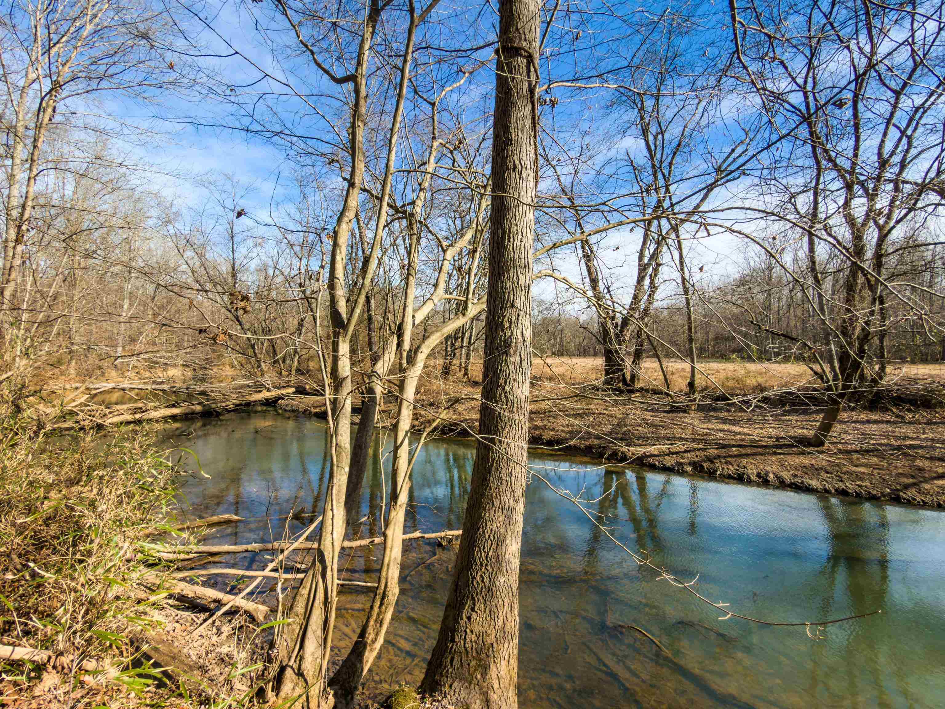 000 Iron Mountain Rd, Lewisburg, Kentucky 42256, ,Land,For Sale,Iron Mountain Rd,93957