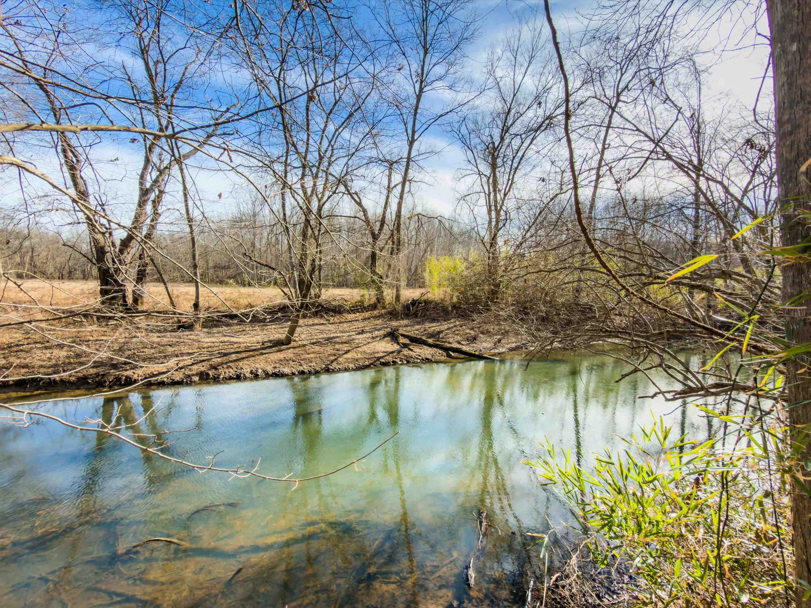 000 Iron Mountain Rd, Lewisburg, Kentucky 42256, ,Land,For Sale,Iron Mountain Rd,93957