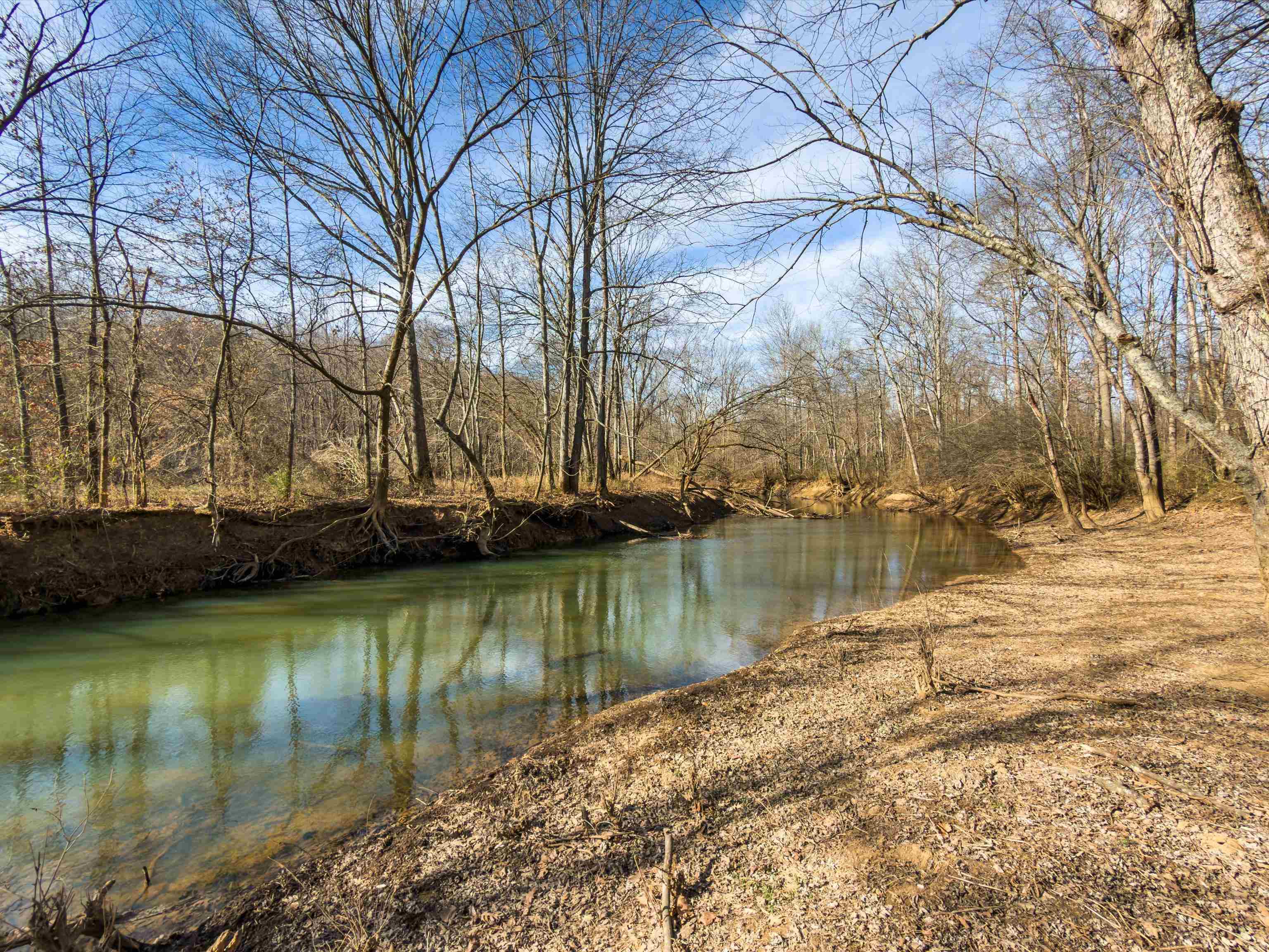 000 Iron Mountain Rd, Lewisburg, Kentucky 42256, ,Land,For Sale,Iron Mountain Rd,93957