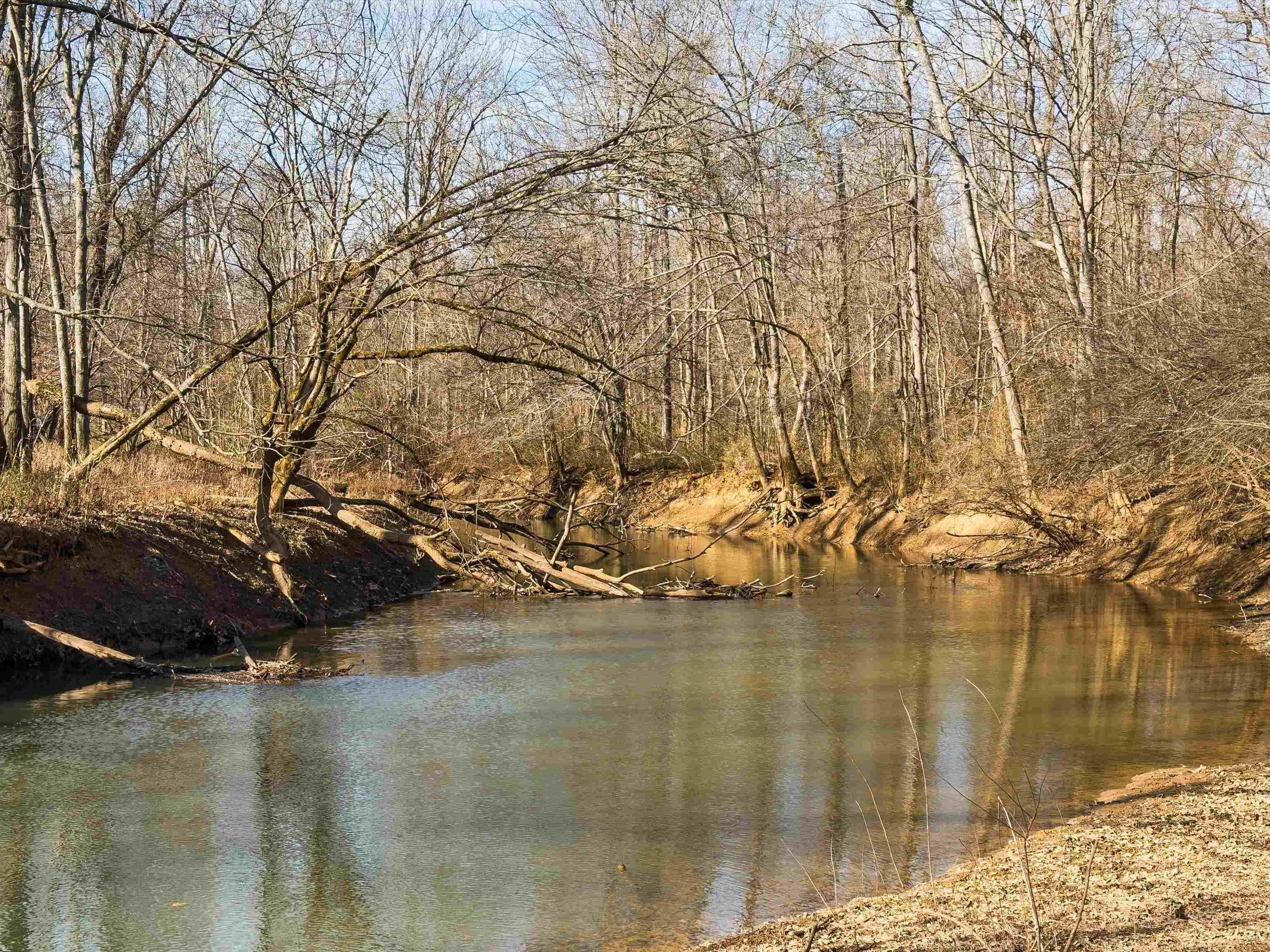 000 Iron Mountain Rd, Lewisburg, Kentucky 42256, ,Land,For Sale,Iron Mountain Rd,93957