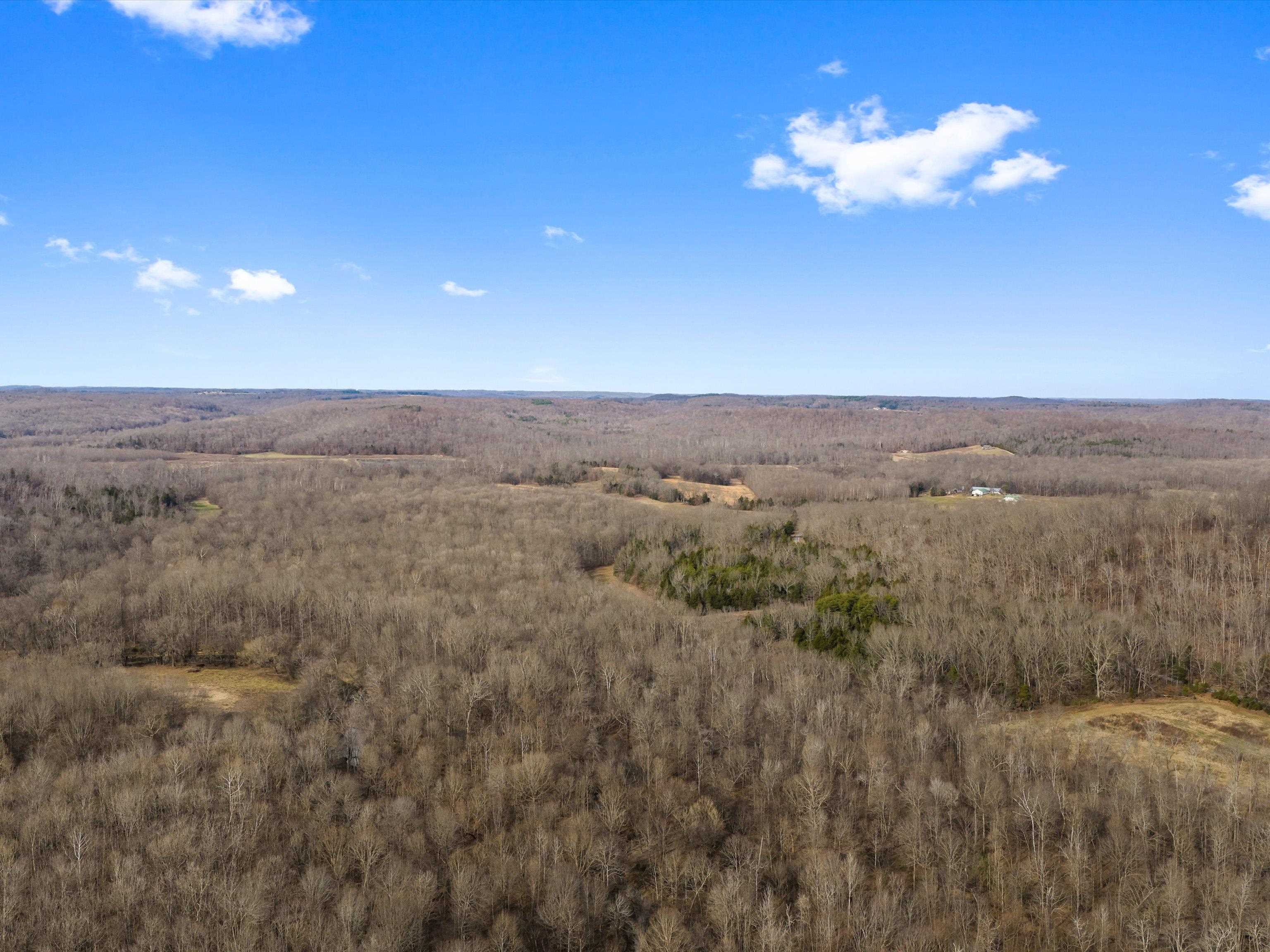 000 Iron Mountain Rd, Lewisburg, Kentucky 42256, ,Land,For Sale,Iron Mountain Rd,93957