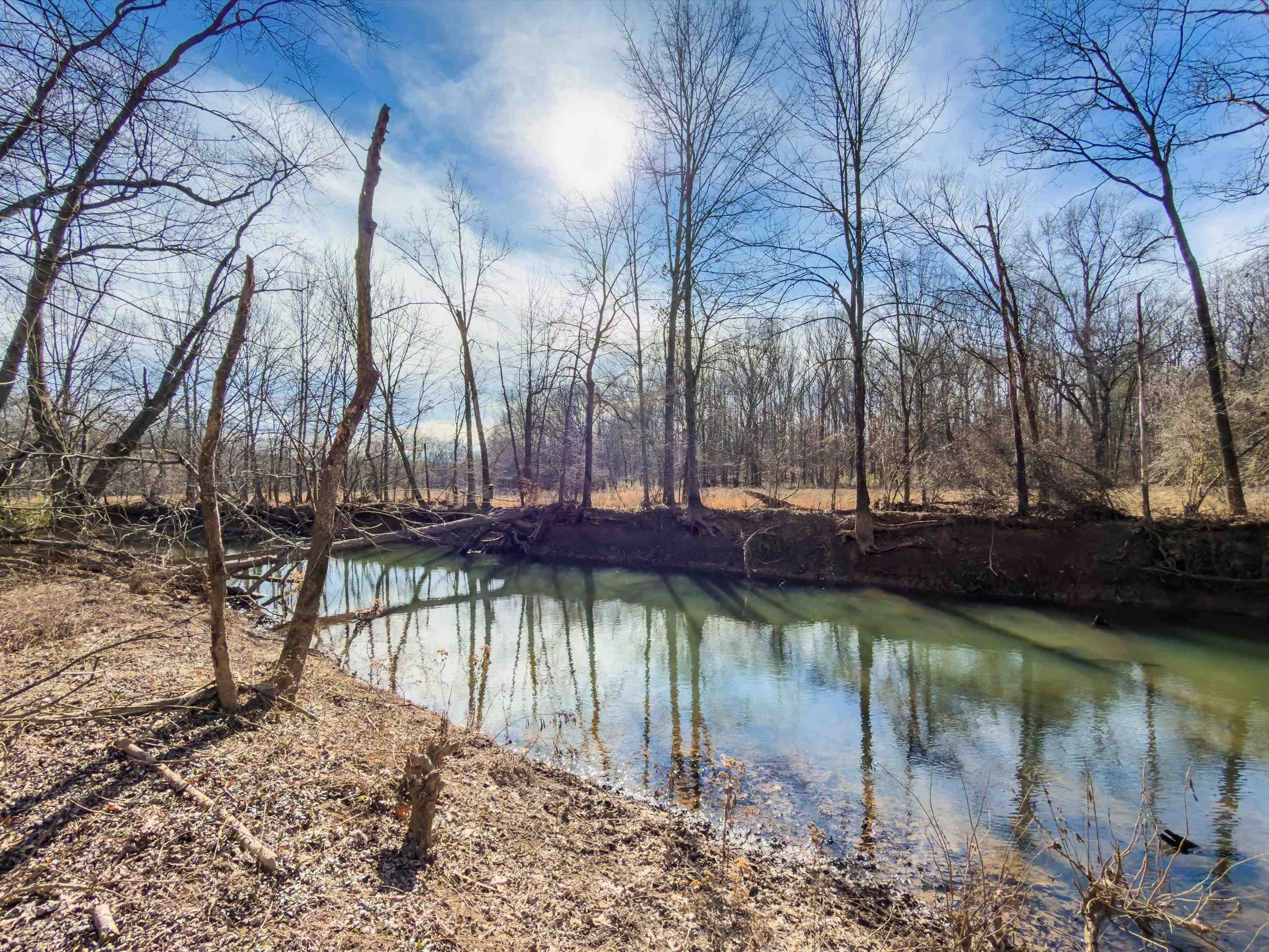 000 Iron Mountain Rd, Lewisburg, Kentucky 42256, ,Land,For Sale,Iron Mountain Rd,93957