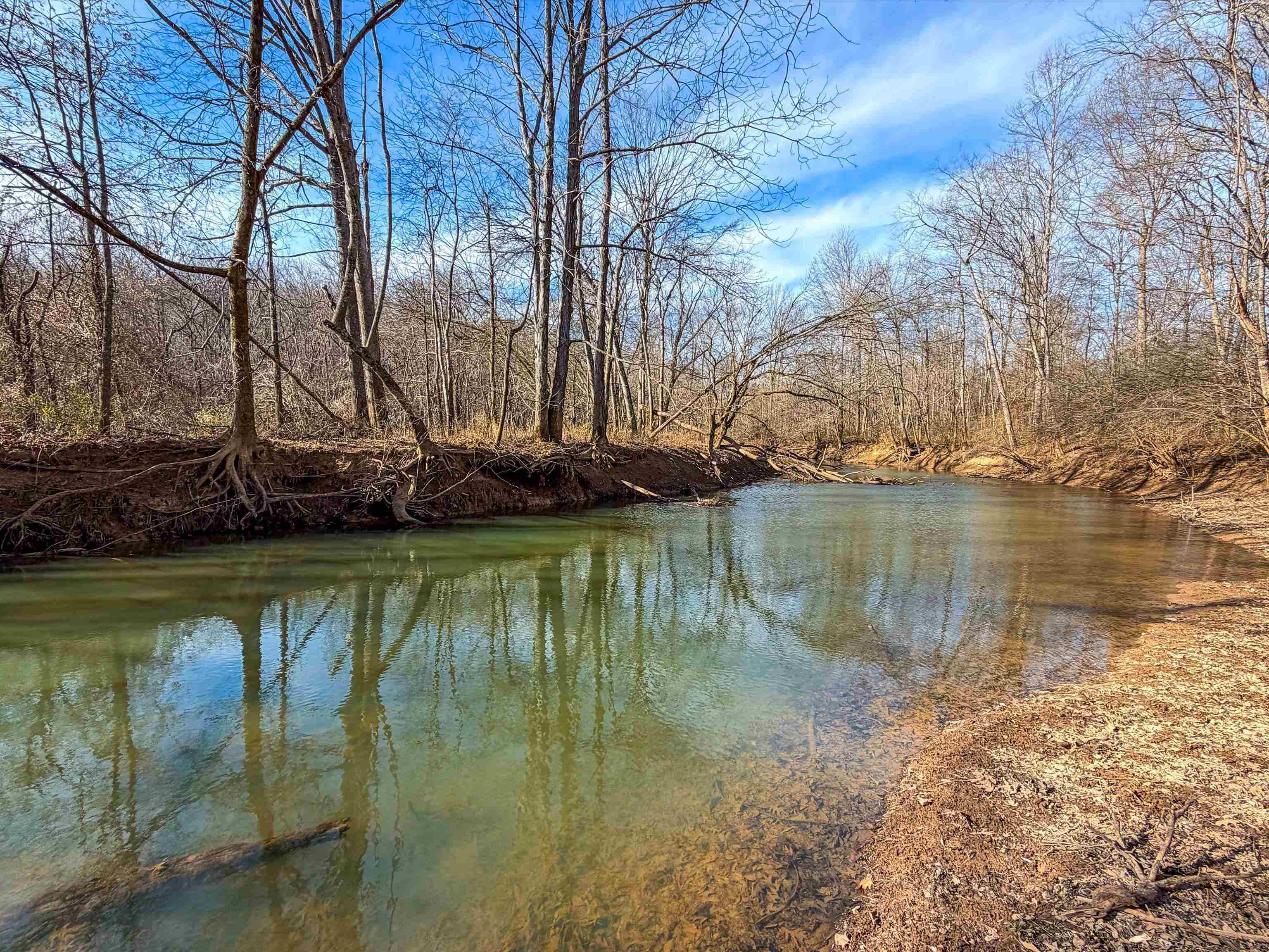 000 Iron Mountain Rd, Lewisburg, Kentucky 42256, ,Land,For Sale,Iron Mountain Rd,93957