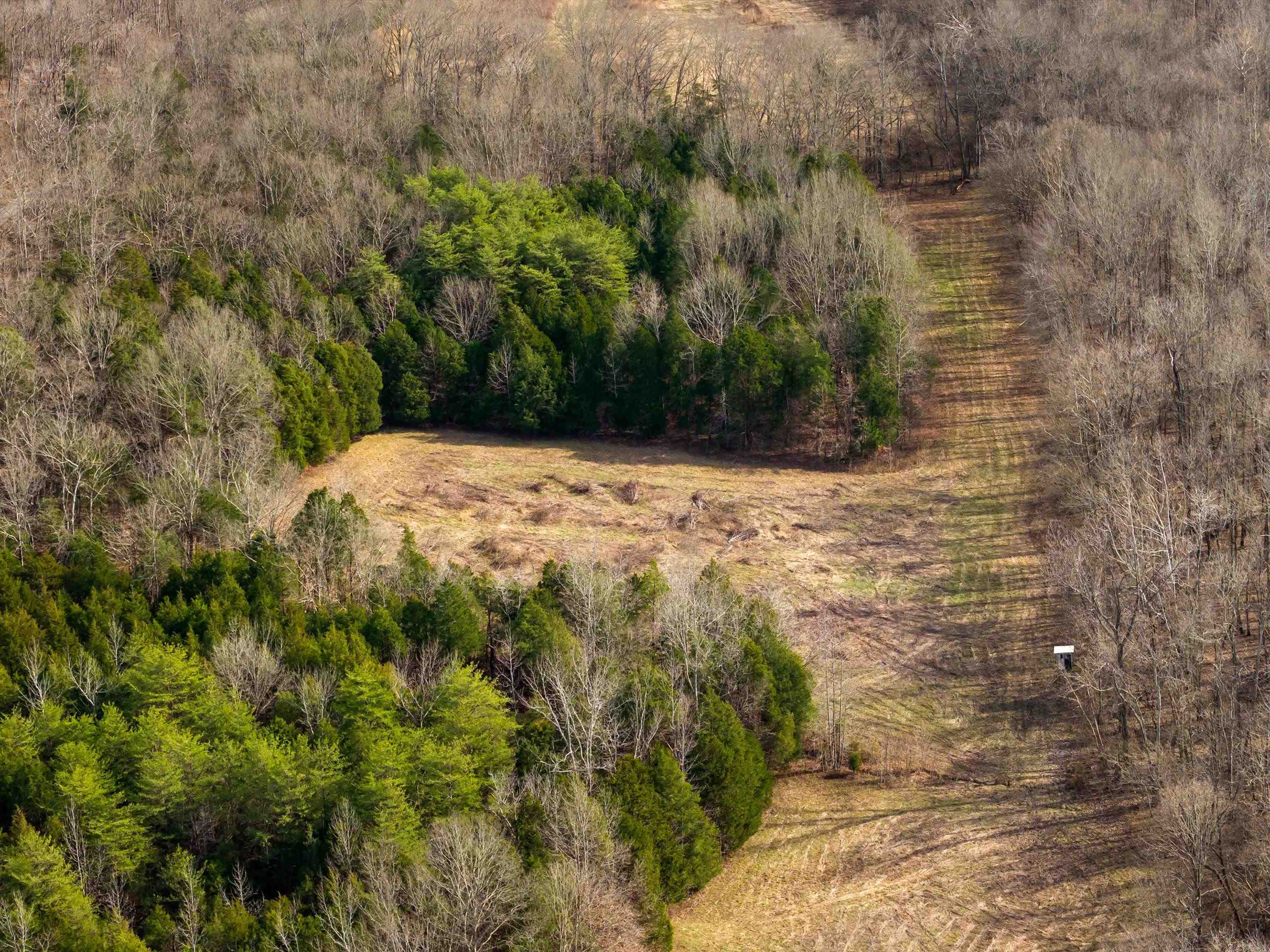 000 Iron Mountain Rd, Lewisburg, Kentucky 42256, ,Land,For Sale,Iron Mountain Rd,93957