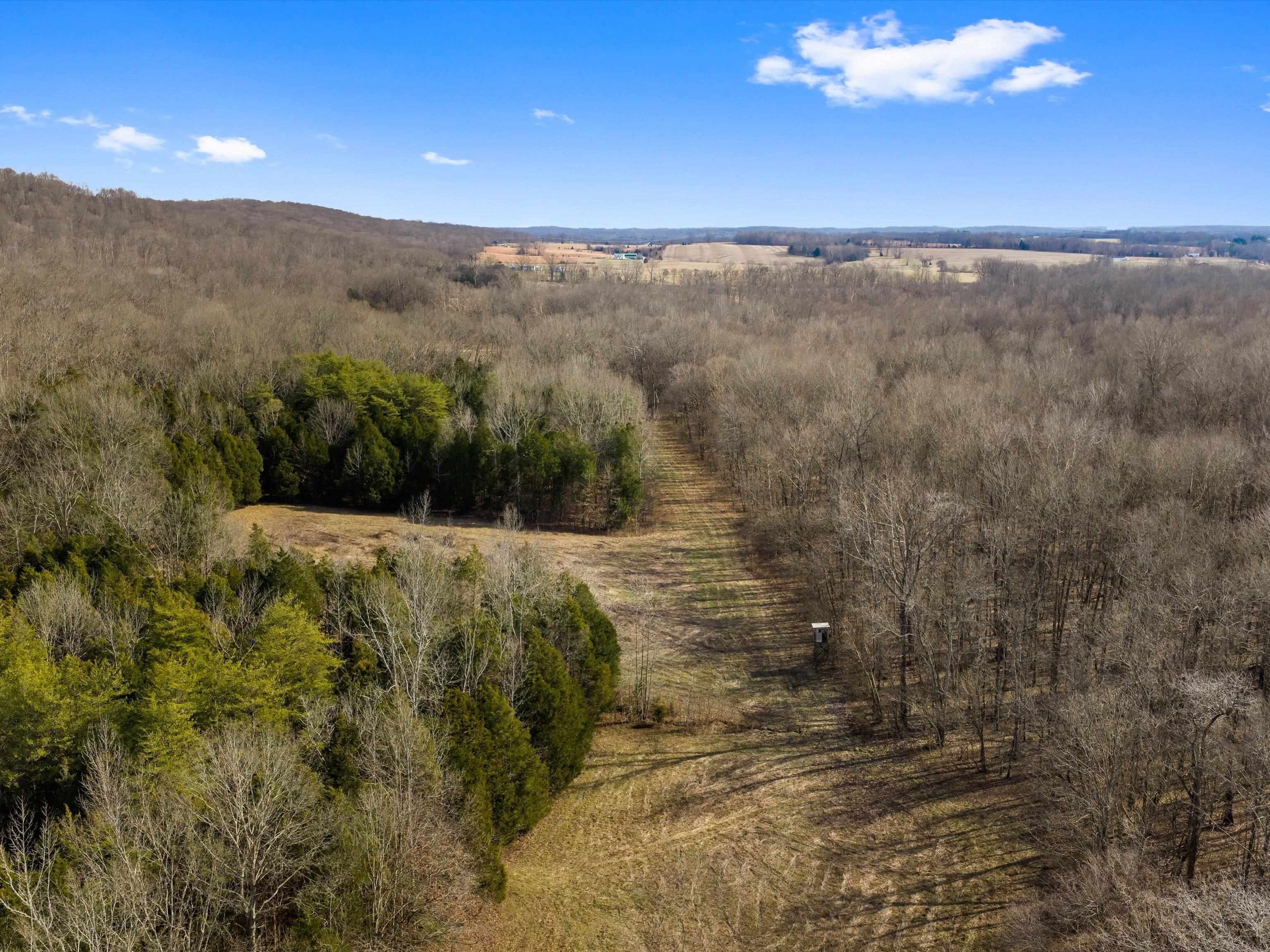 000 Iron Mountain Rd, Lewisburg, Kentucky 42256, ,Land,For Sale,Iron Mountain Rd,93957