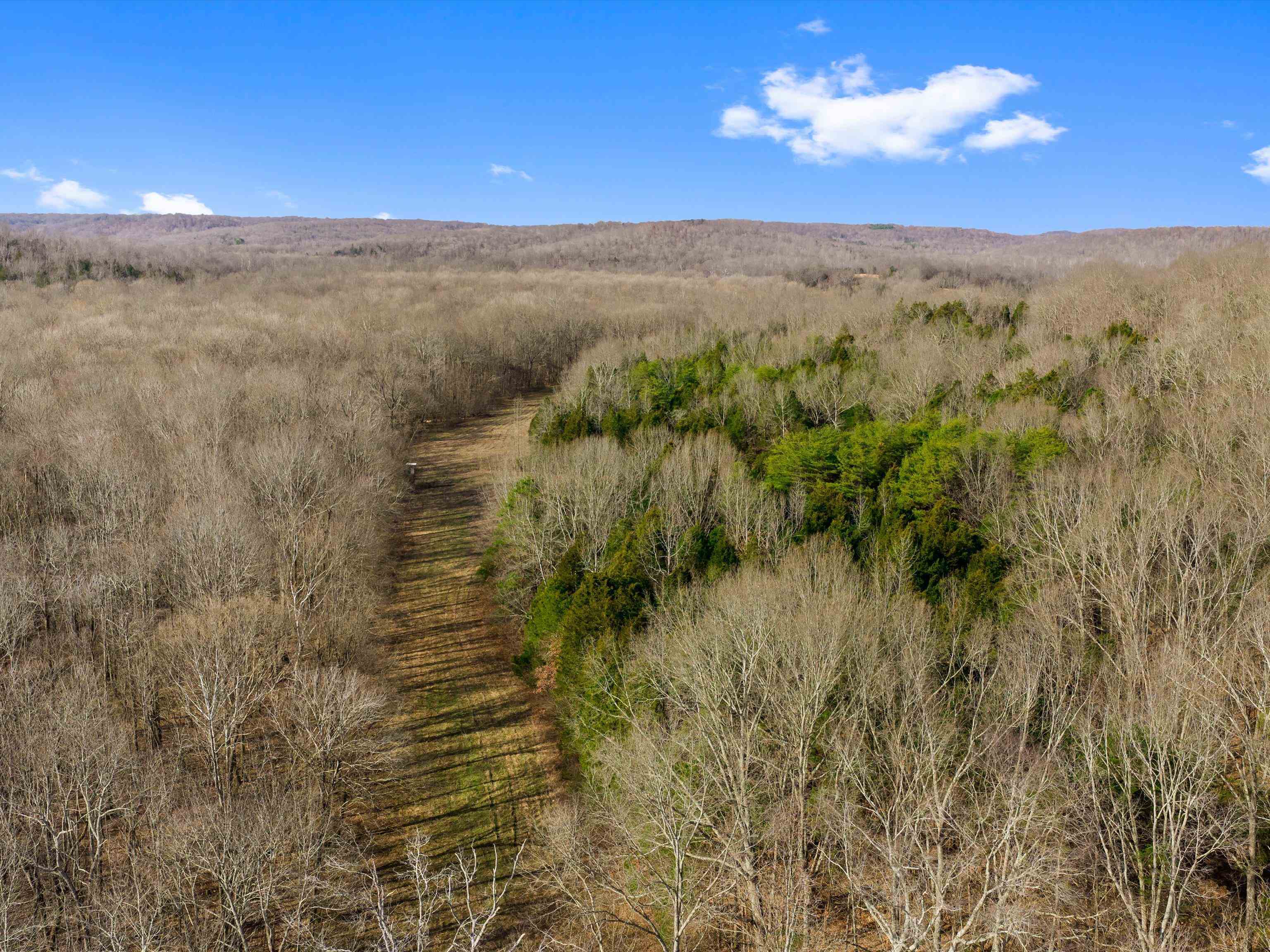 000 Iron Mountain Rd, Lewisburg, Kentucky 42256, ,Land,For Sale,Iron Mountain Rd,93957