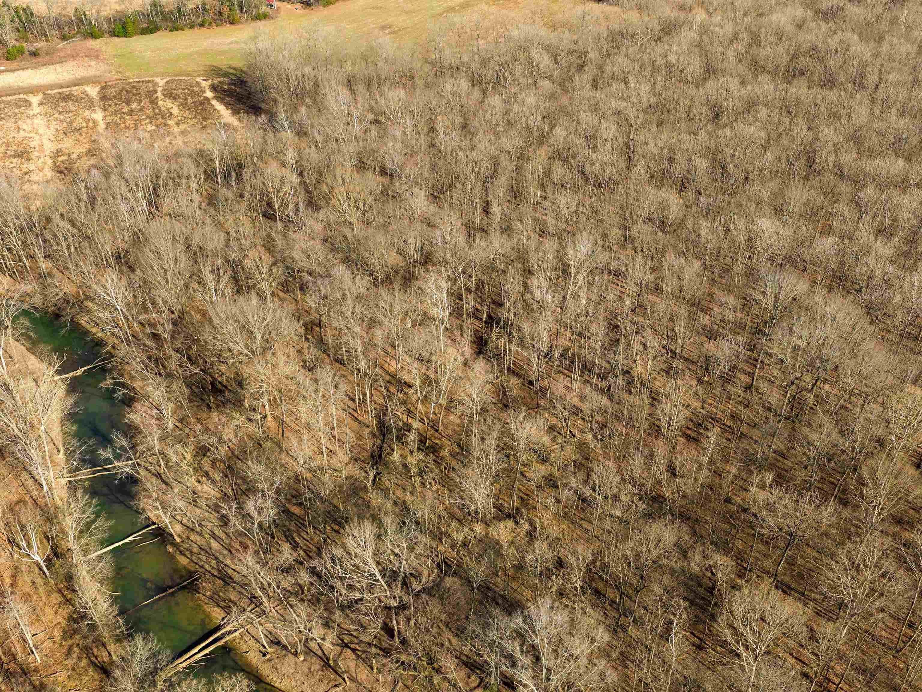 000 Iron Mountain Rd, Lewisburg, Kentucky 42256, ,Land,For Sale,Iron Mountain Rd,93957