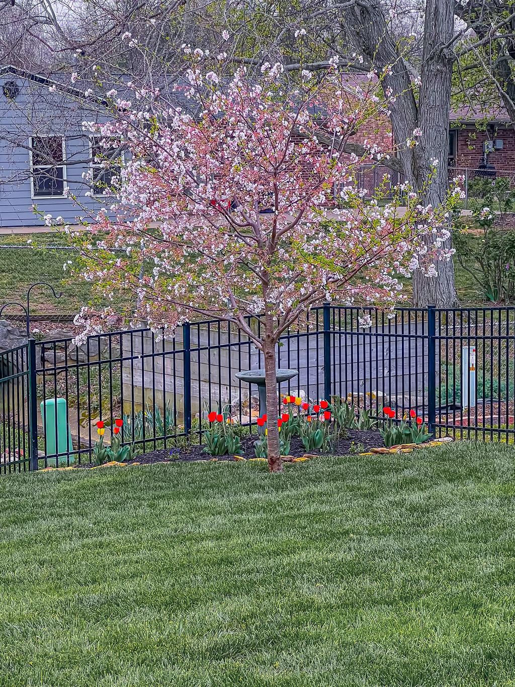 3550 Cannonade Loop North, Owensboro, Kentucky 42303-2443, 3 Bedrooms Bedrooms, ,2 BathroomsBathrooms,Single Family Residence,For Sale,Cannonade Loop North,93984