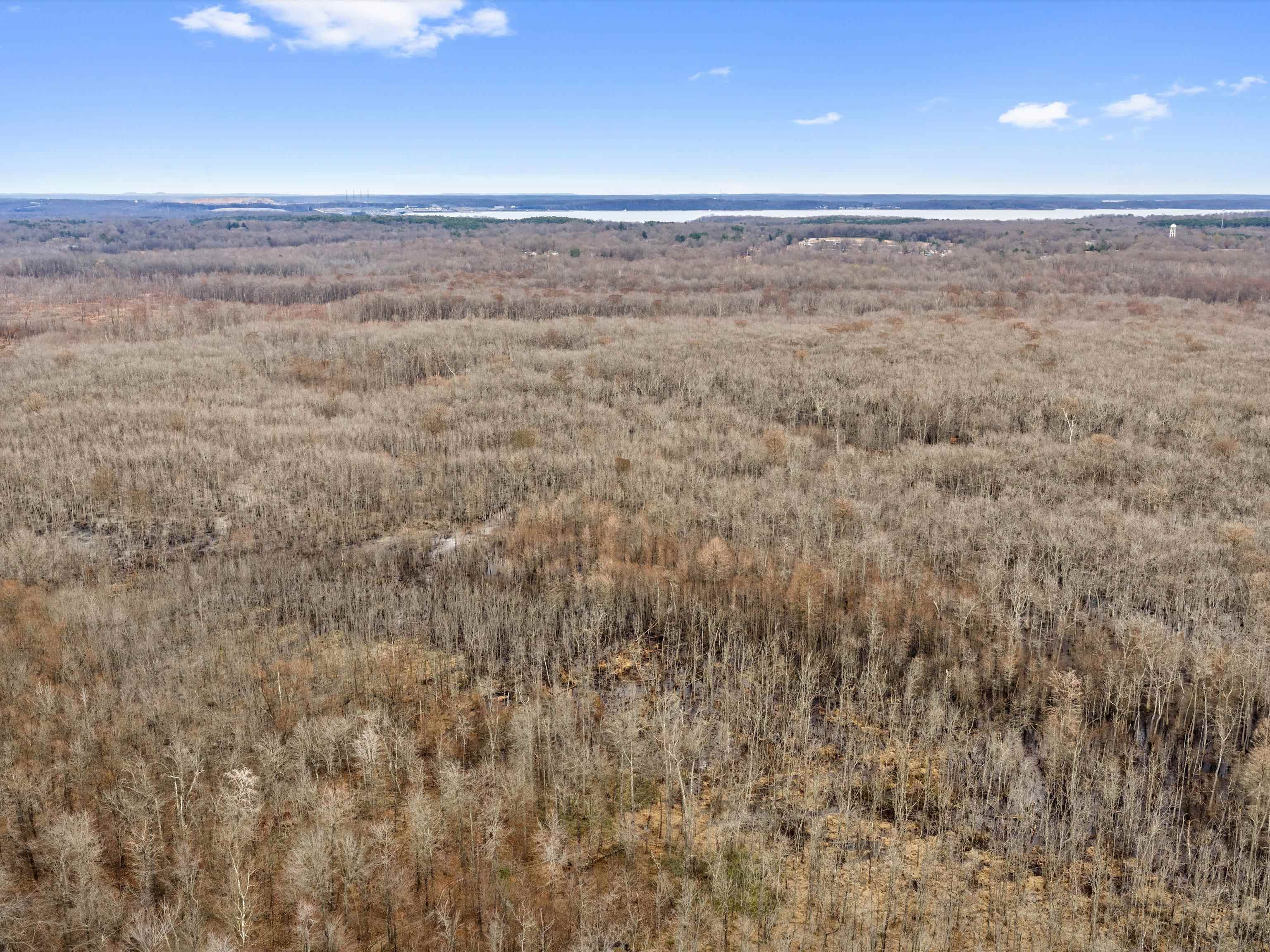 000 Red River Rd, Gilbertsville, Kentucky 42044, ,Land,For Sale,Red River Rd,93992