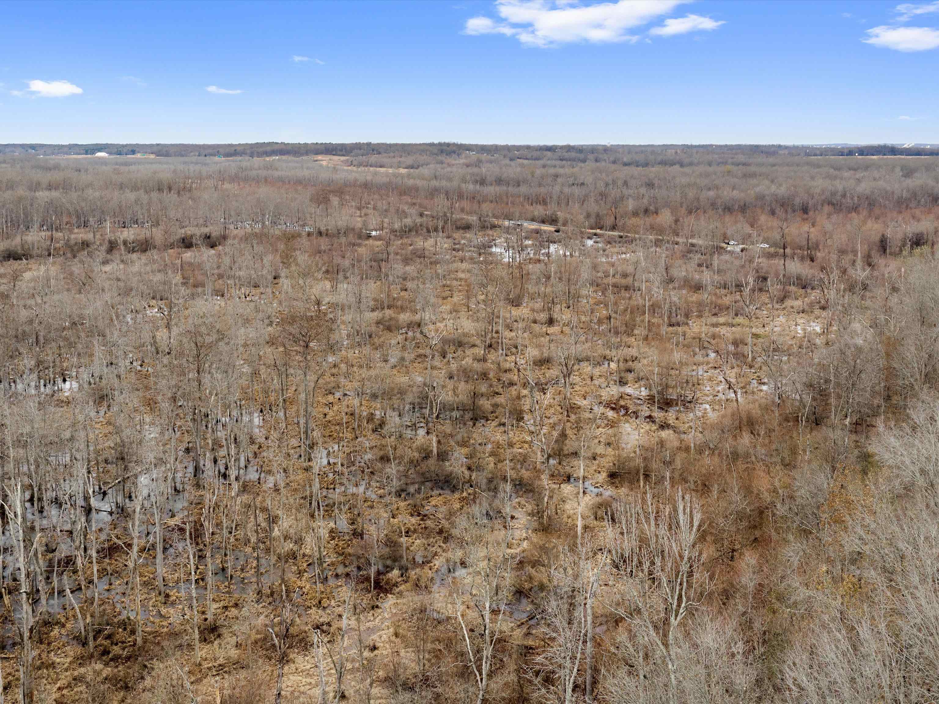 000 Red River Rd, Gilbertsville, Kentucky 42044, ,Land,For Sale,Red River Rd,93992