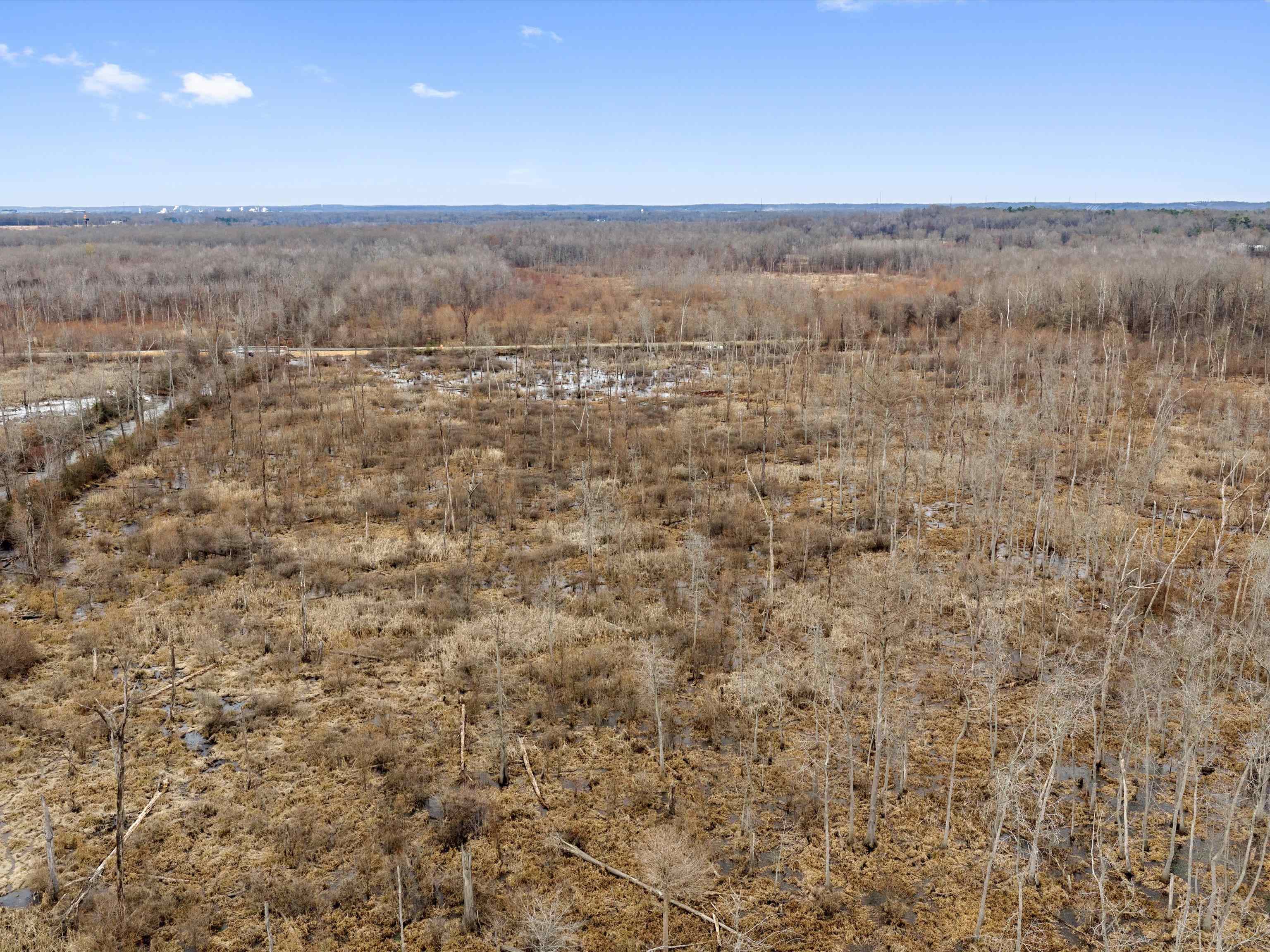 000 Red River Rd, Gilbertsville, Kentucky 42044, ,Land,For Sale,Red River Rd,93992