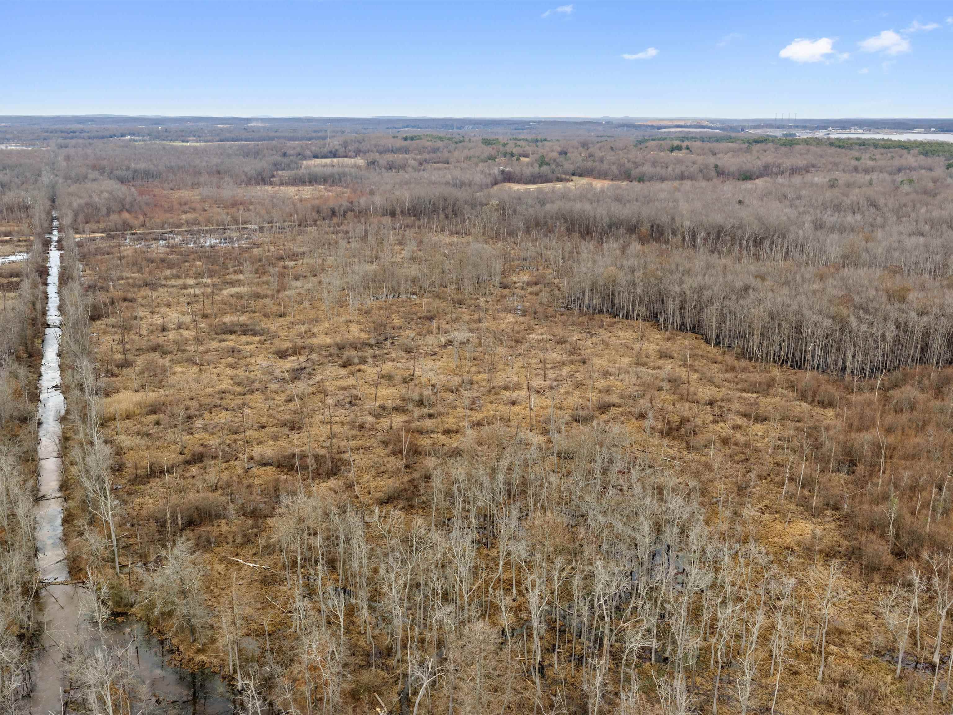 000 Red River Rd, Gilbertsville, Kentucky 42044, ,Land,For Sale,Red River Rd,93992