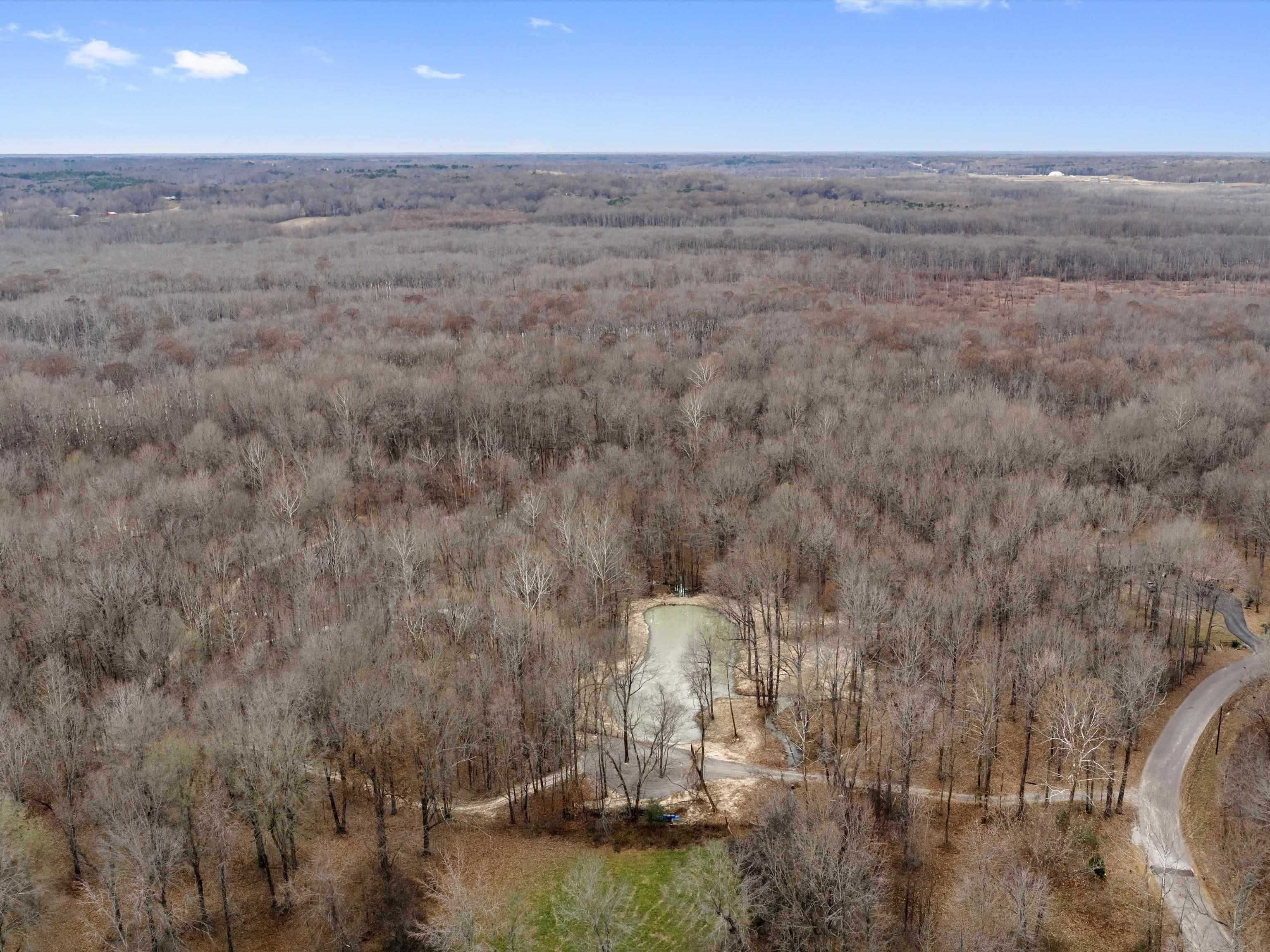 000 Red River Rd, Gilbertsville, Kentucky 42044, ,Land,For Sale,Red River Rd,93992