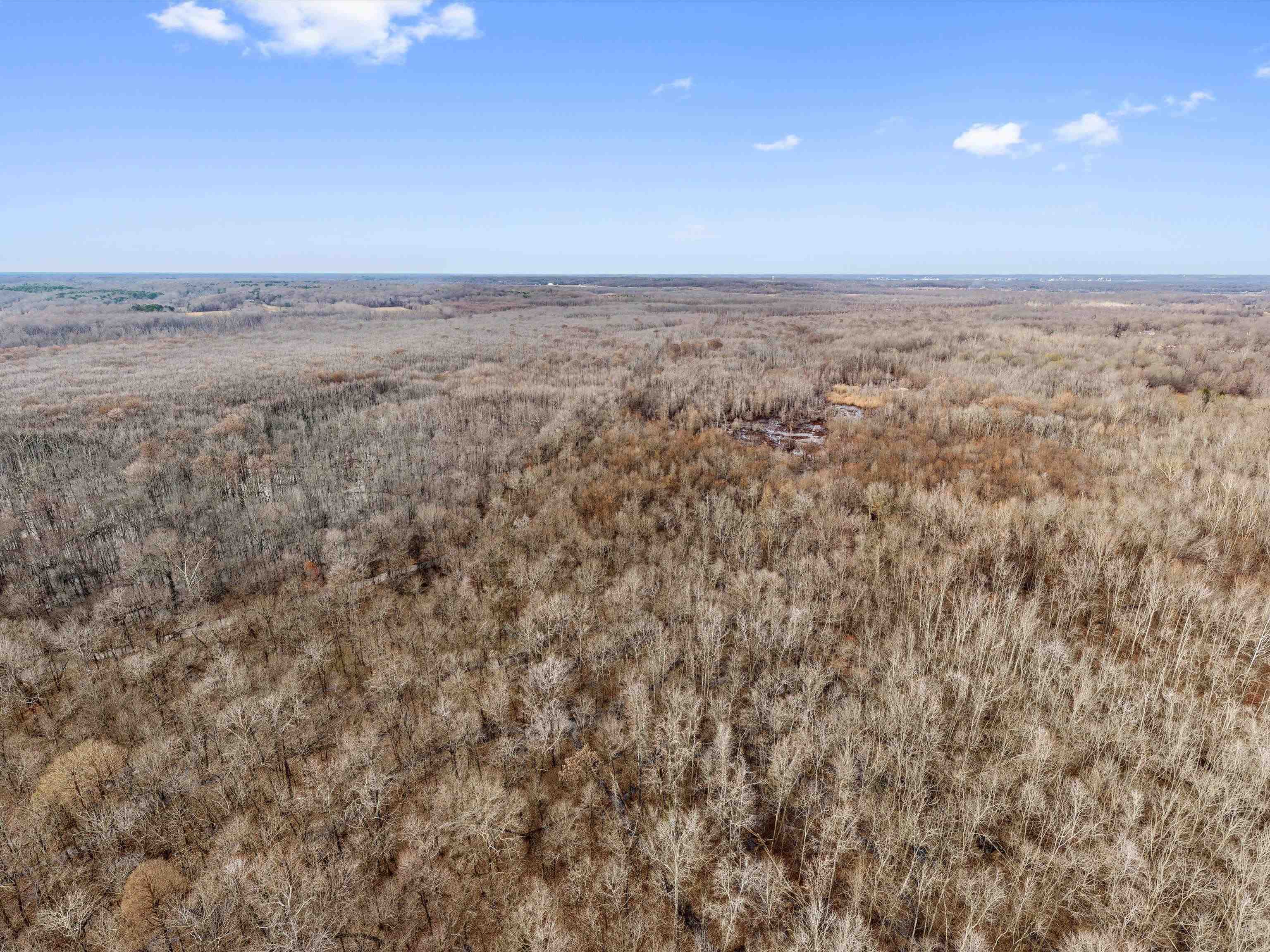 000 Red River Rd, Gilbertsville, Kentucky 42044, ,Land,For Sale,Red River Rd,93992