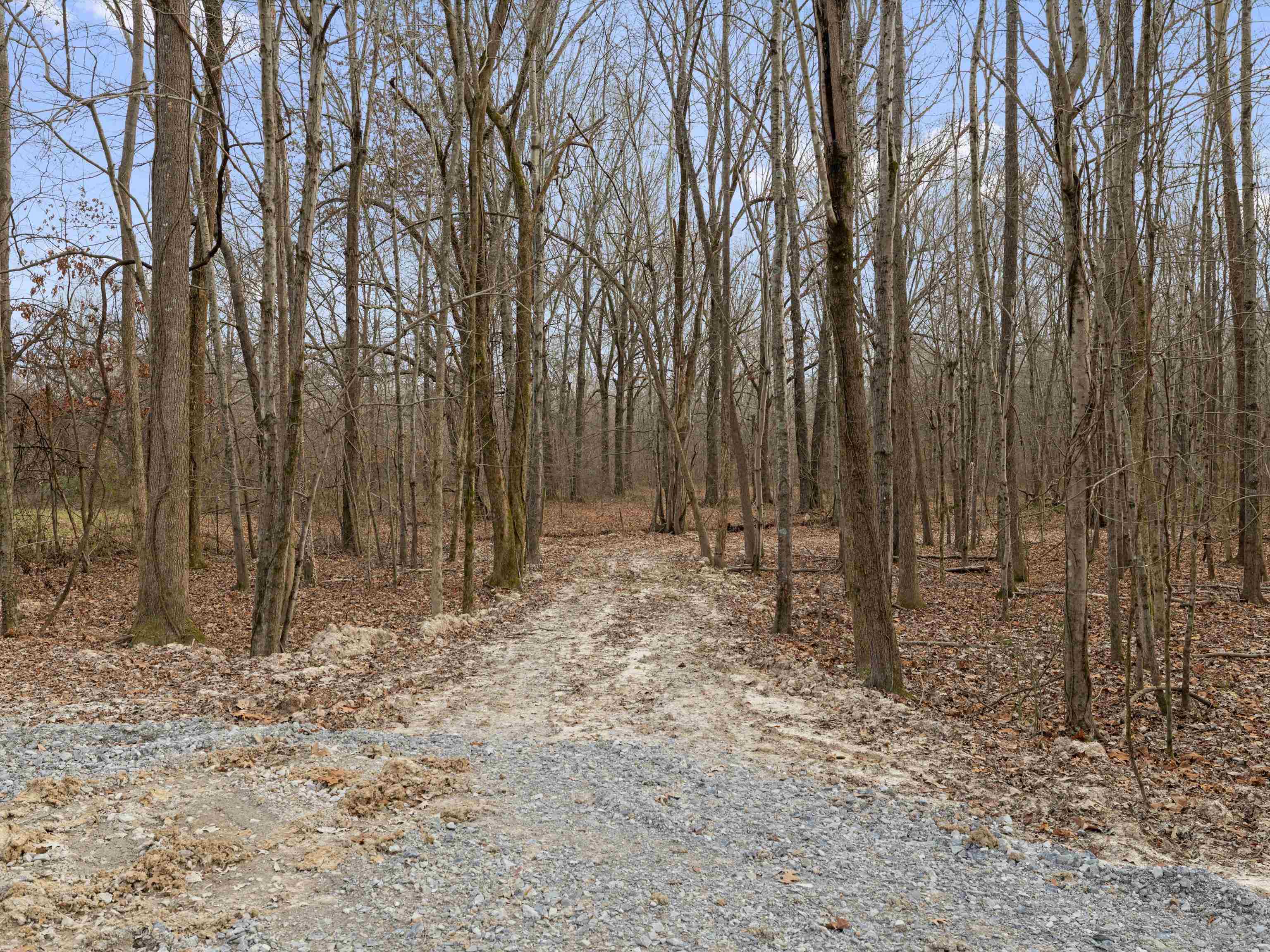 000 Red River Rd, Gilbertsville, Kentucky 42044, ,Land,For Sale,Red River Rd,93992