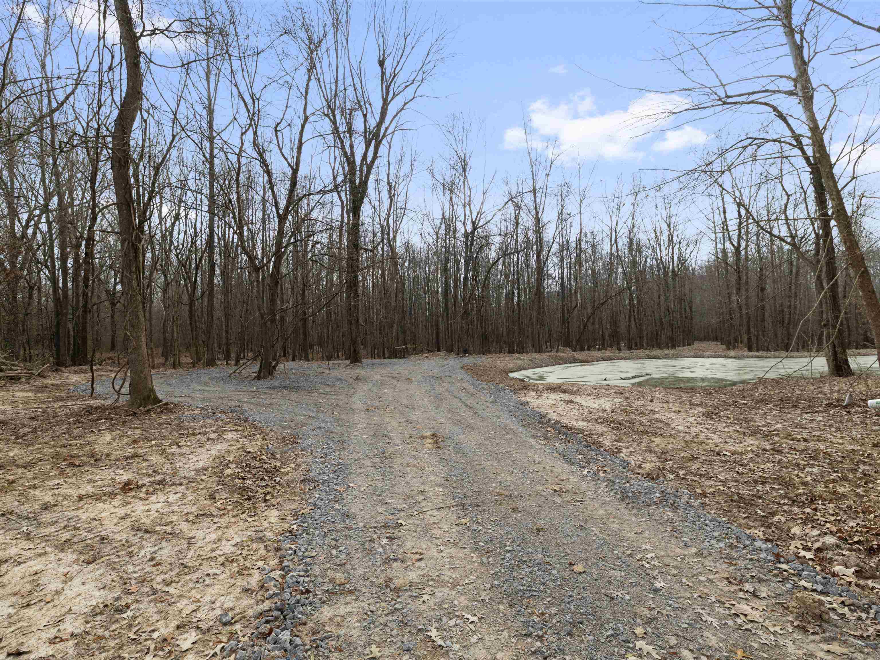 000 Red River Rd, Gilbertsville, Kentucky 42044, ,Land,For Sale,Red River Rd,93992