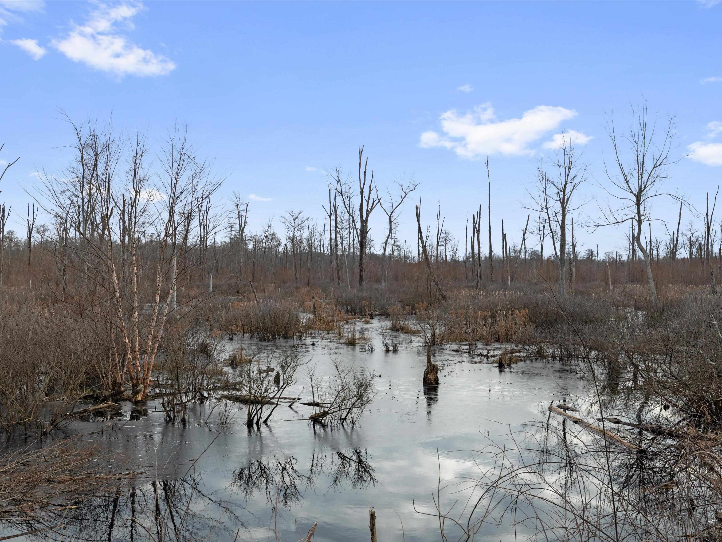 000 Red River Rd, Gilbertsville, Kentucky 42044, ,Land,For Sale,Red River Rd,93992