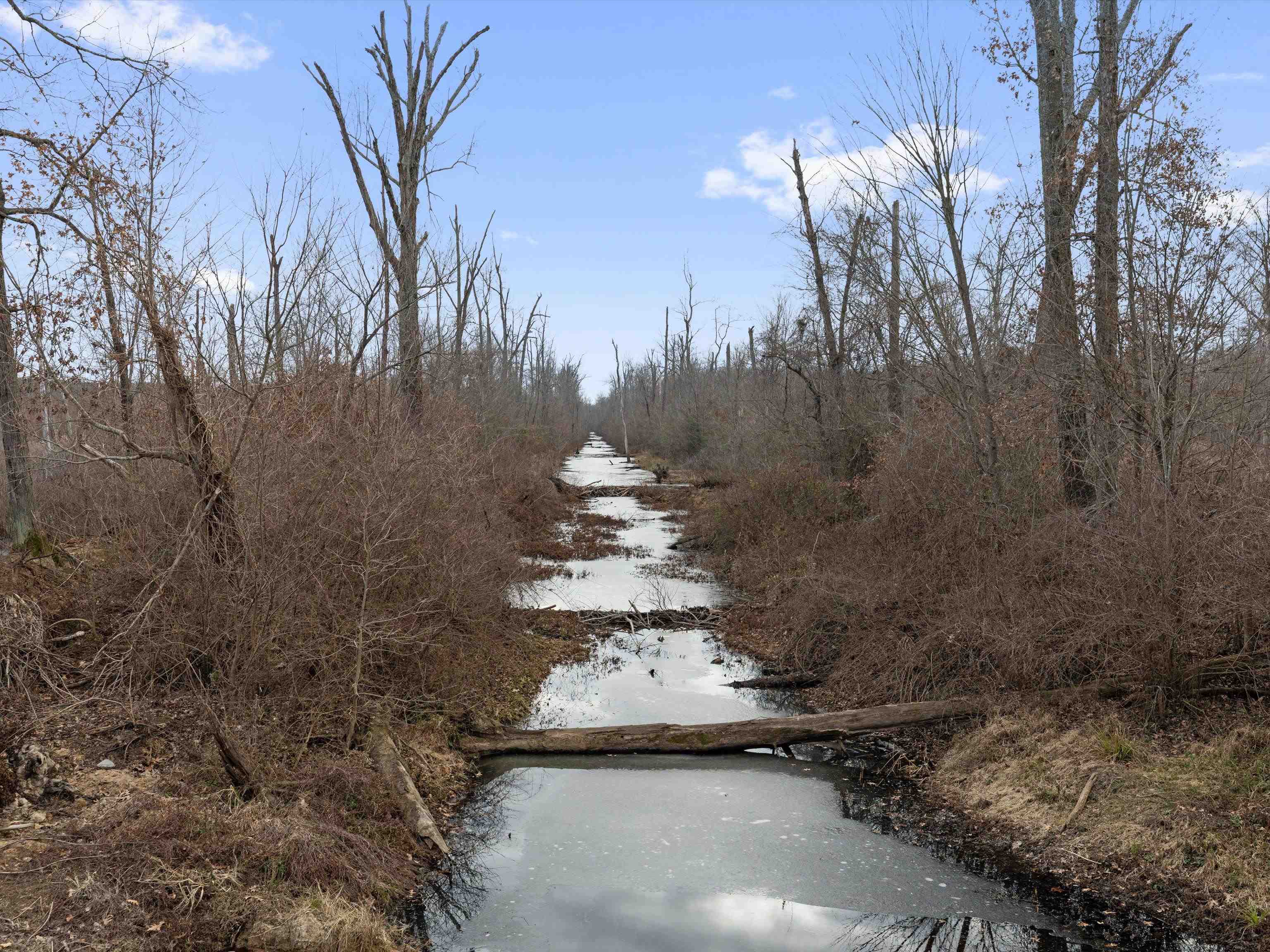 000 Red River Rd, Gilbertsville, Kentucky 42044, ,Land,For Sale,Red River Rd,93992