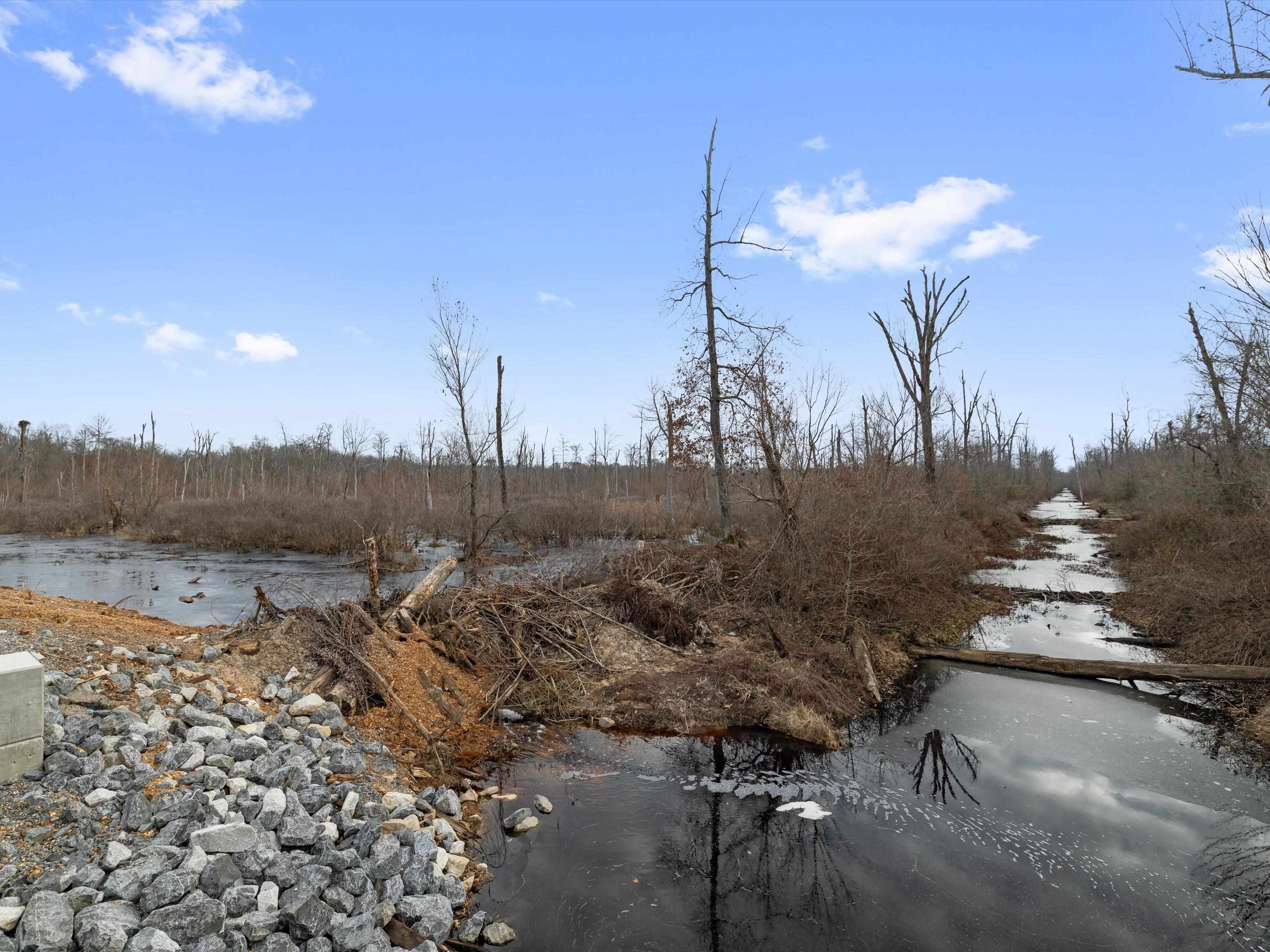 000 Red River Rd, Gilbertsville, Kentucky 42044, ,Land,For Sale,Red River Rd,93992